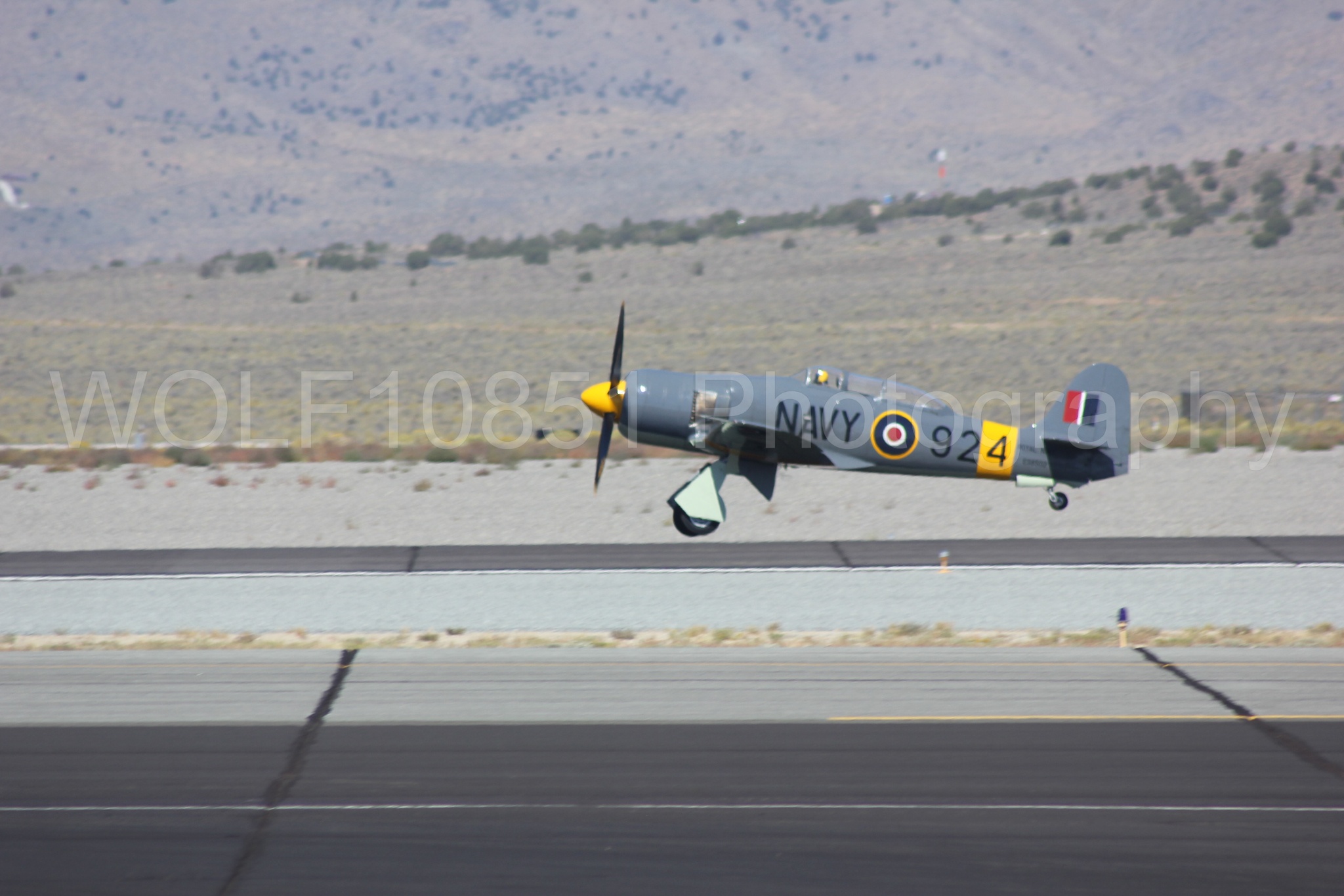Aviation photography by WOLF10851 featuring Hawker Sea Fury FB-11, Reno Air Races 2013.