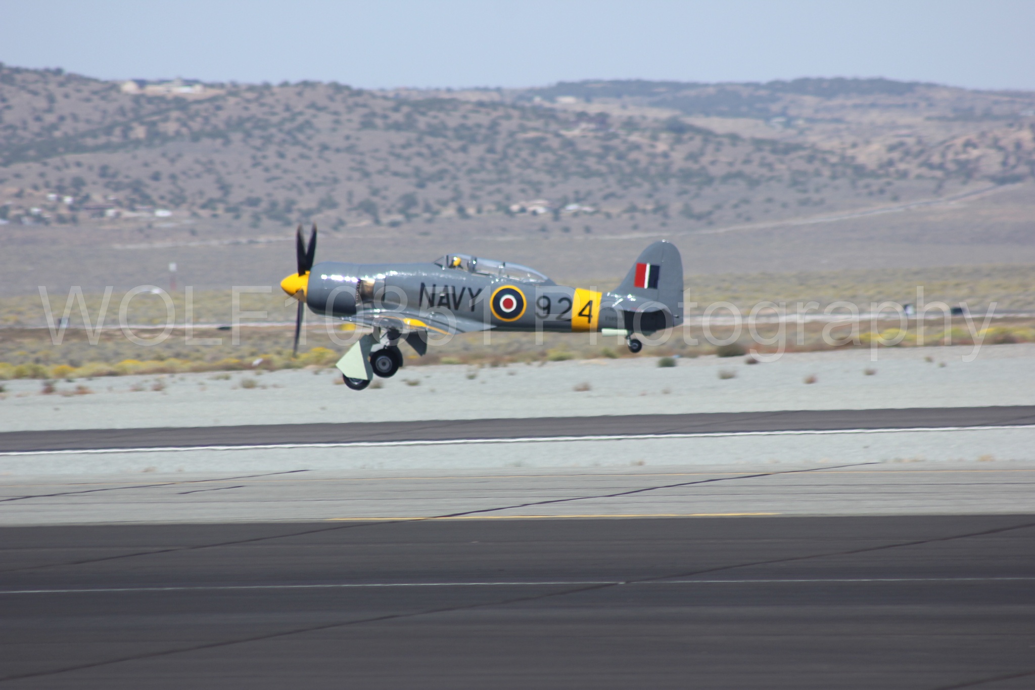 Aviation photography by WOLF10851 featuring Hawker Sea Fury FB-11, Reno Air Races 2013.