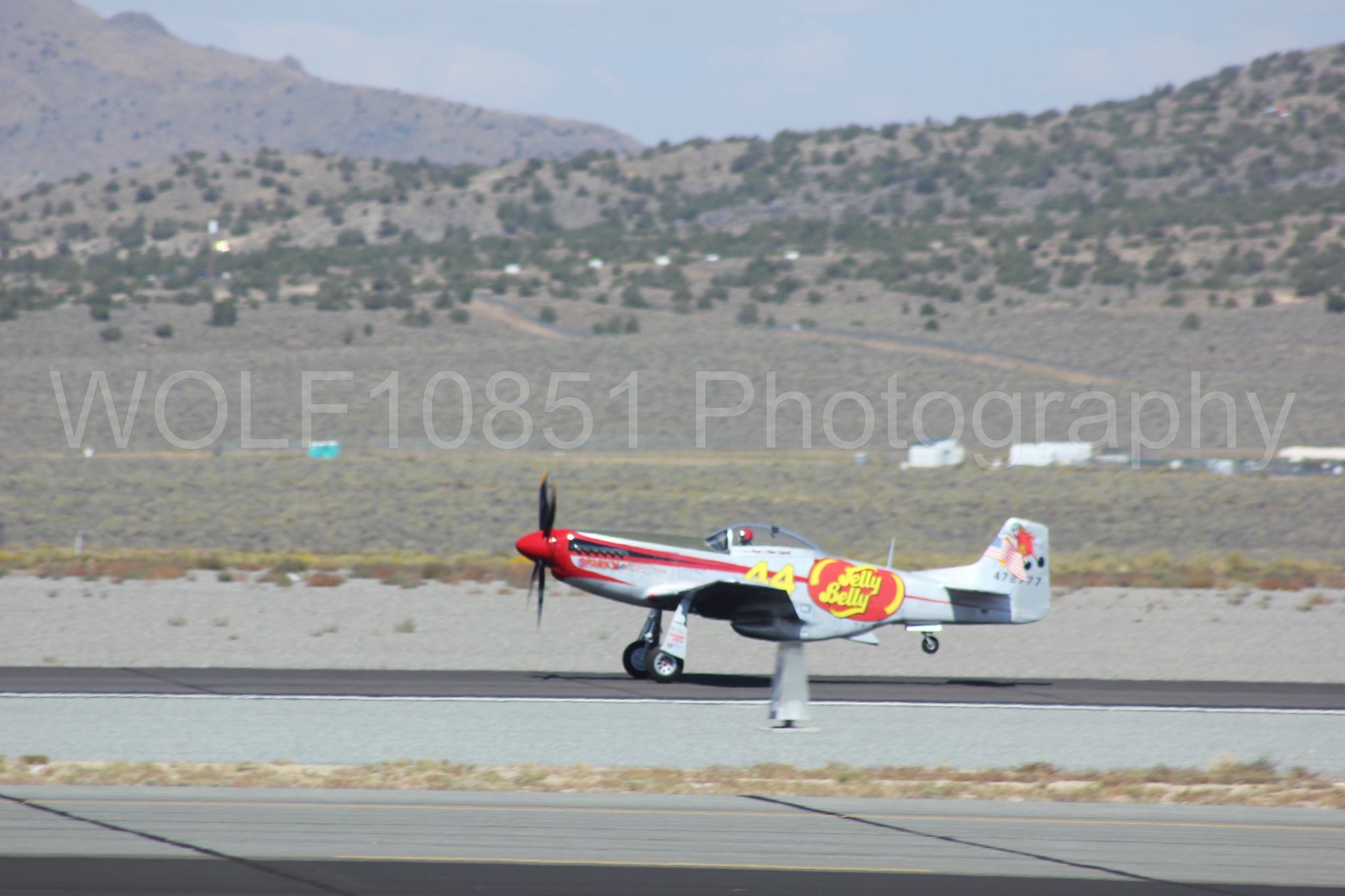 Aviation photography by WOLF10851 featuring P-51 Mustang, Jelly Belly, Sparky, Reno Air Races 2013.