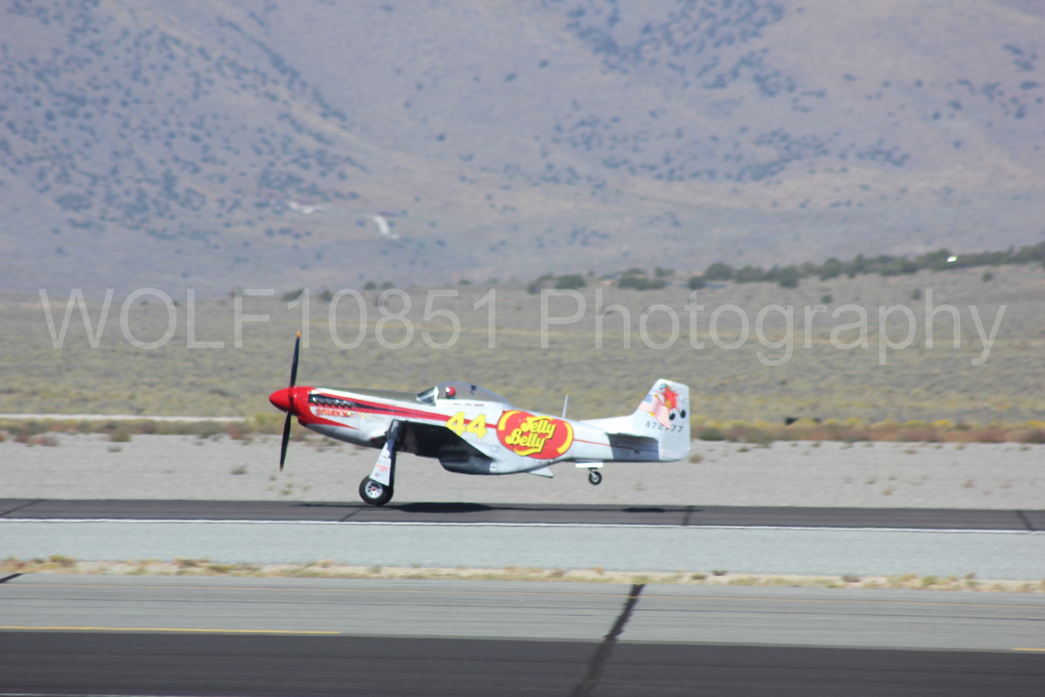 Aviation photography by WOLF10851 featuring P-51 Mustang, Jelly Belly, Sparky, Reno Air Races 2013.