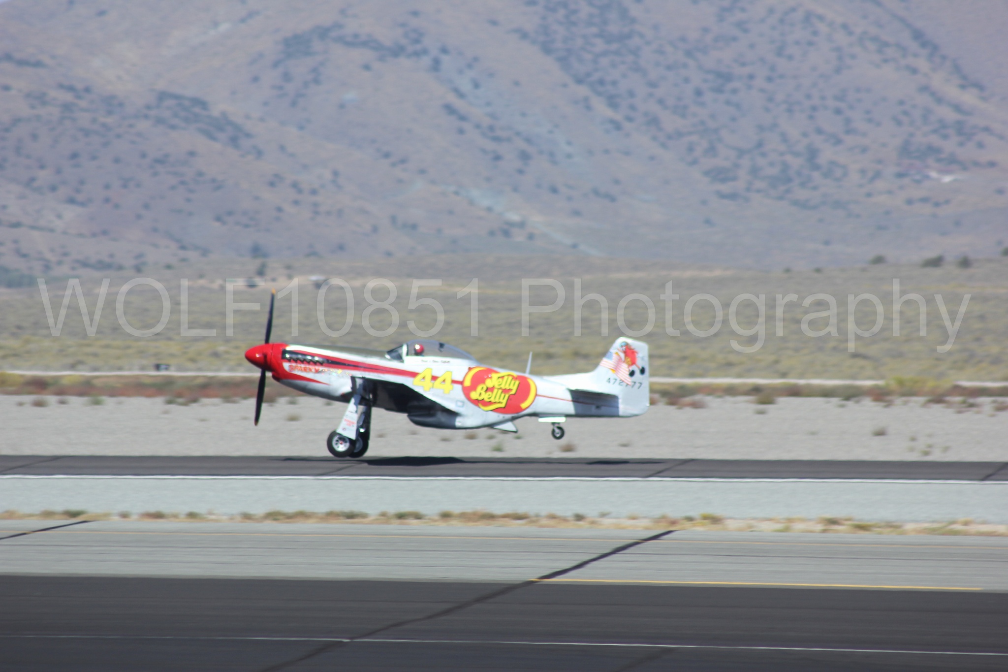 Aviation photography by WOLF10851 featuring P-51 Mustang, Jelly Belly, Sparky, Reno Air Races 2013.