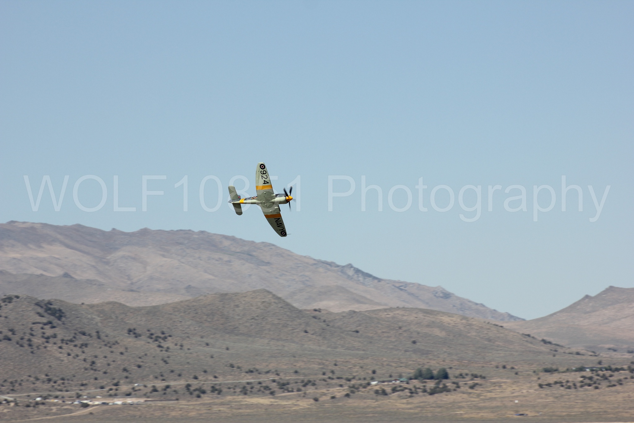 Aviation photography by WOLF10851 featuring Hawker Sea Fury FB-11, Reno Air Races 2013.