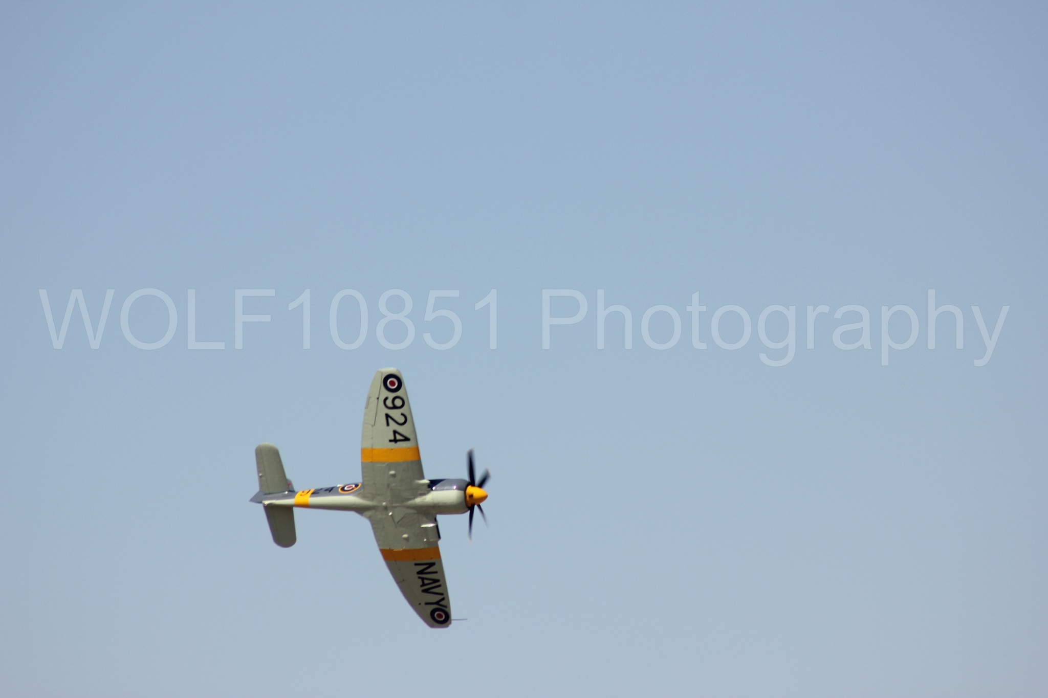 Aviation photography by WOLF10851 featuring Hawker Sea Fury FB-11, Reno Air Races 2013.