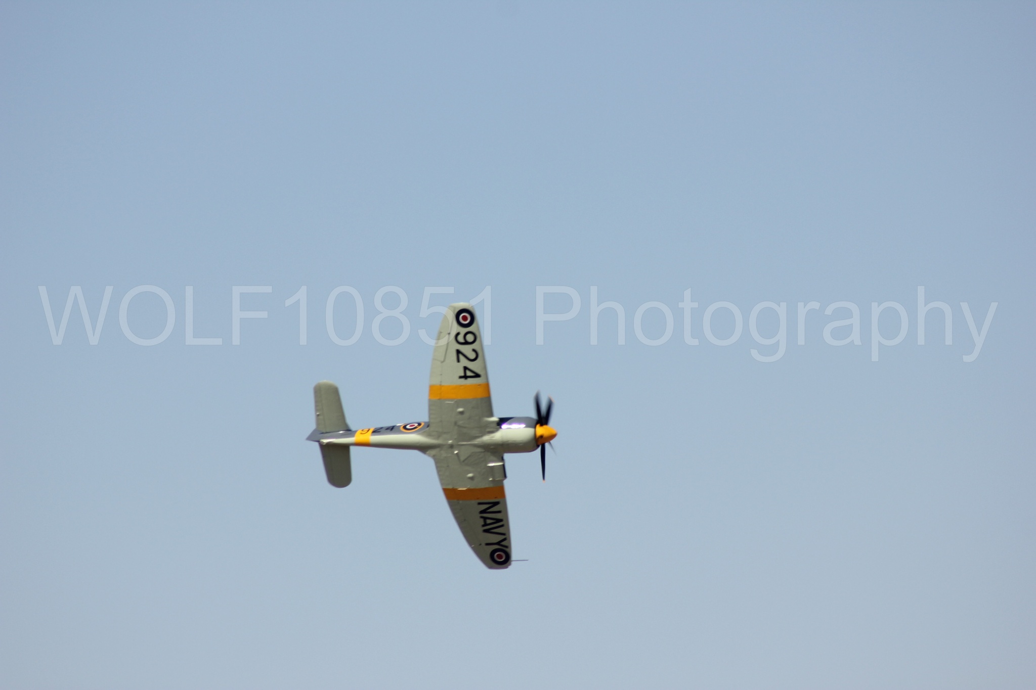 Aviation photography by WOLF10851 featuring Hawker Sea Fury FB-11, Reno Air Races 2013.