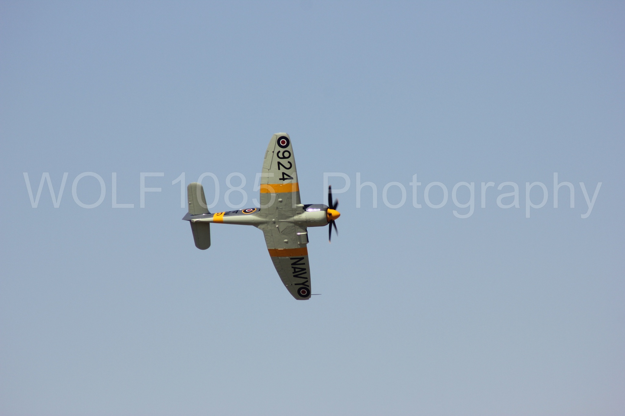 Aviation photography by WOLF10851 featuring Hawker Sea Fury FB-11, Reno Air Races 2013.