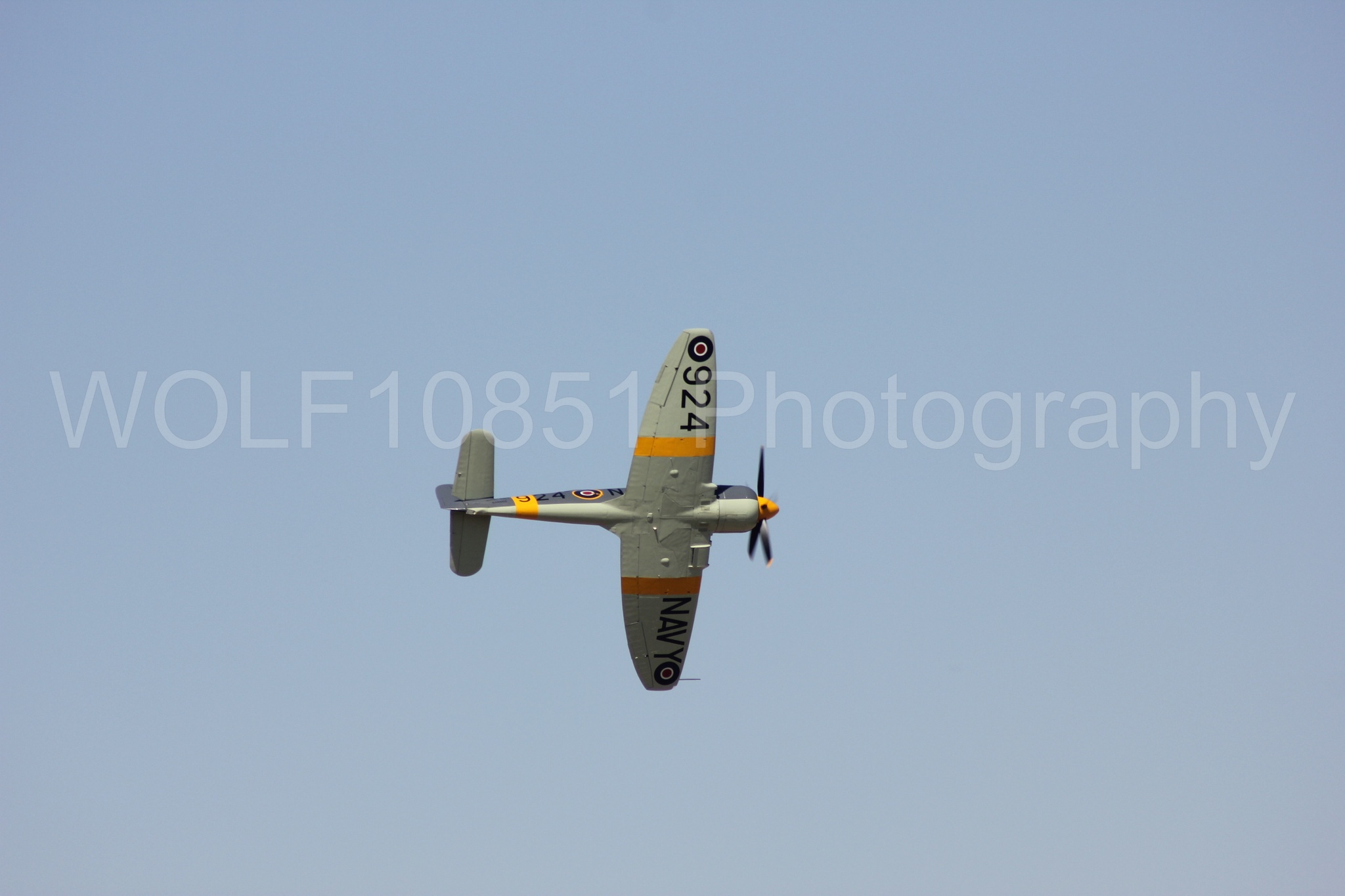 Aviation photography by WOLF10851 featuring Hawker Sea Fury FB-11, Reno Air Races 2013.