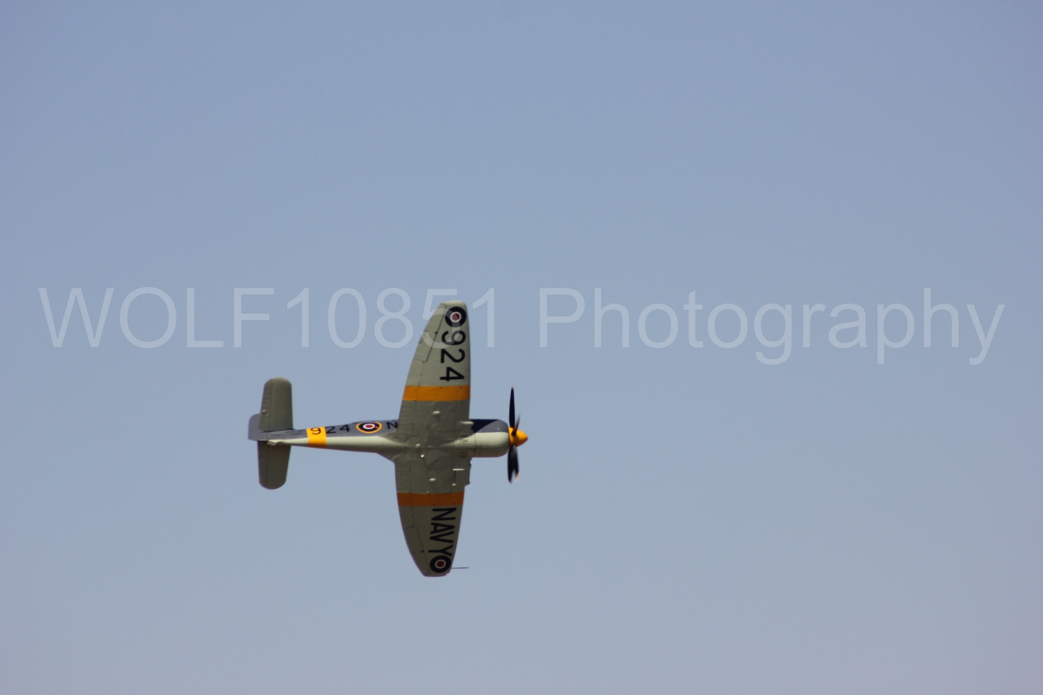 Aviation photography by WOLF10851 featuring Hawker Sea Fury FB-11, Reno Air Races 2013.