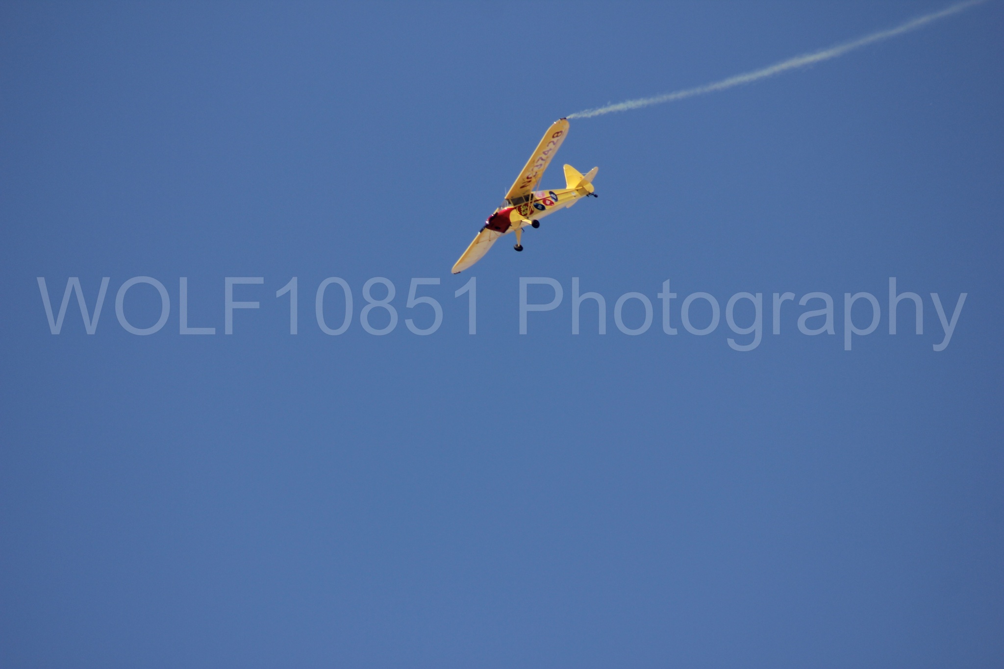 Aviation photography by WOLF10851 featuring Kent Pietsch, Interstate Cadet, Jelly Belly.