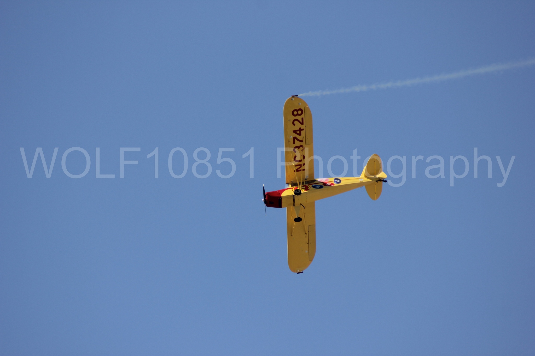 Aviation photography by WOLF10851 featuring Kent Pietsch, Interstate Cadet, Jelly Belly, Reno Air Races 2013.