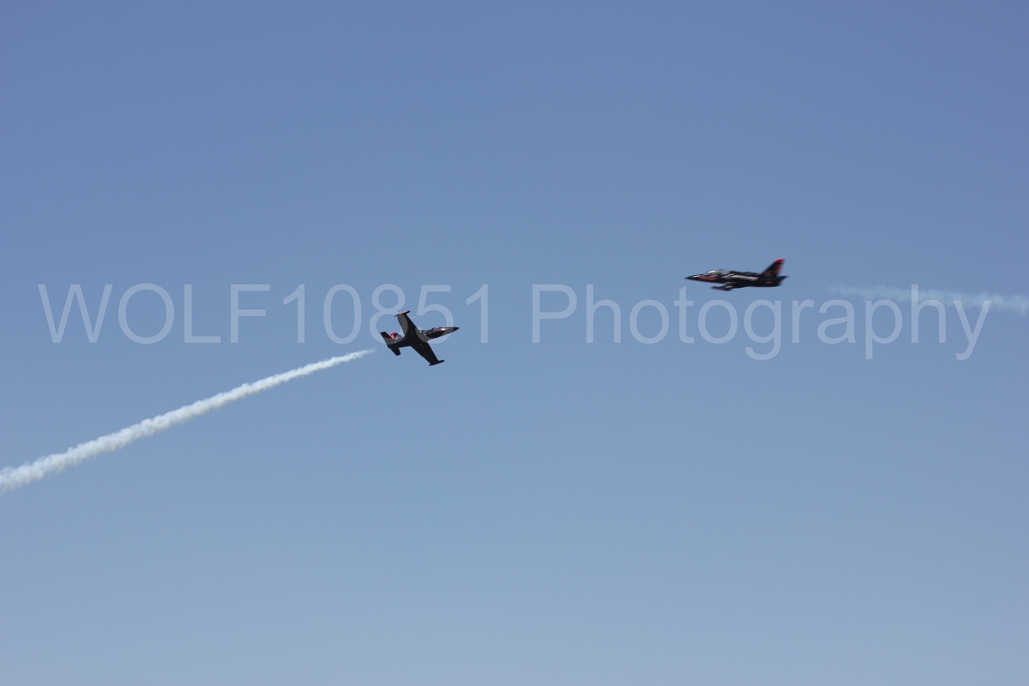 Aviation photography by WOLF10851 featuring L-39 Albatros, The Patriots Jet Demonstration Team, All Black Red lettering.