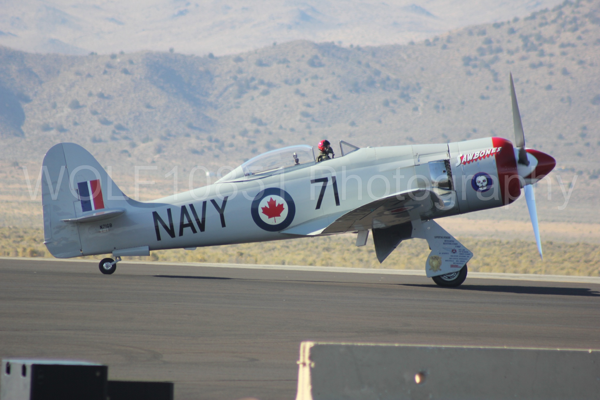 Aviation photography by WOLF10851 featuring Reno Air Races 2013, Hawker Sea Fury T. Mk. 20, Sawbones.