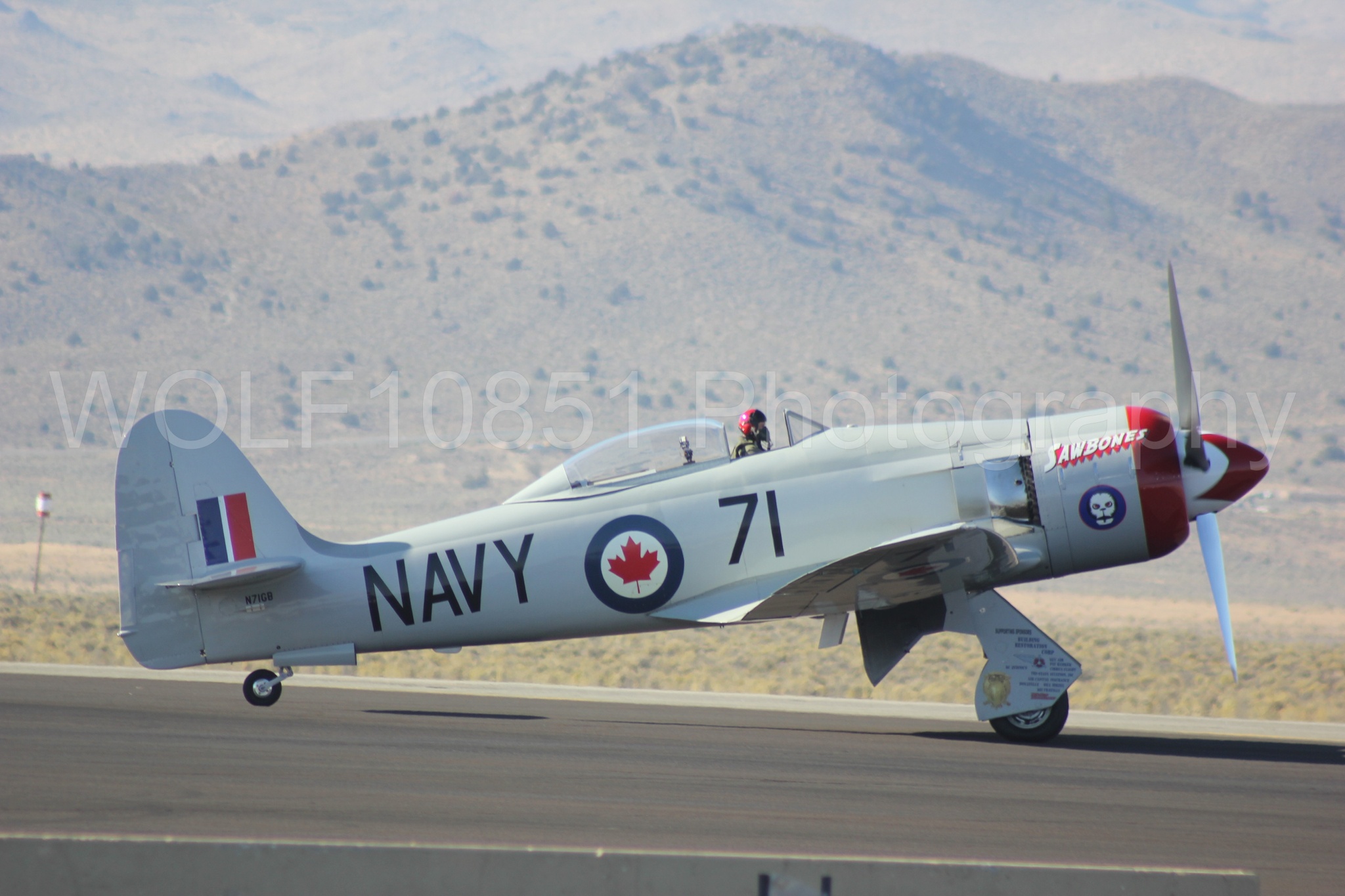 Aviation photography by WOLF10851 featuring Reno Air Races 2013, Hawker Sea Fury T. Mk. 20, Sawbones.