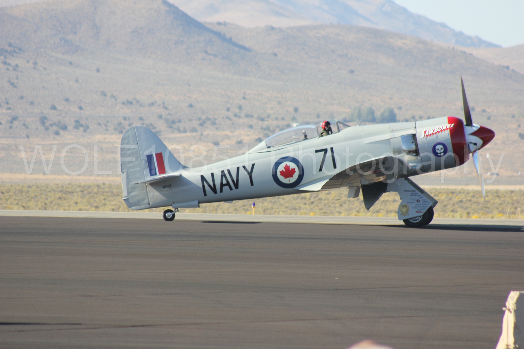 Aviation photography by WOLF10851 featuring Reno Air Races 2013, Hawker Sea Fury T. Mk. 20, Sawbones.