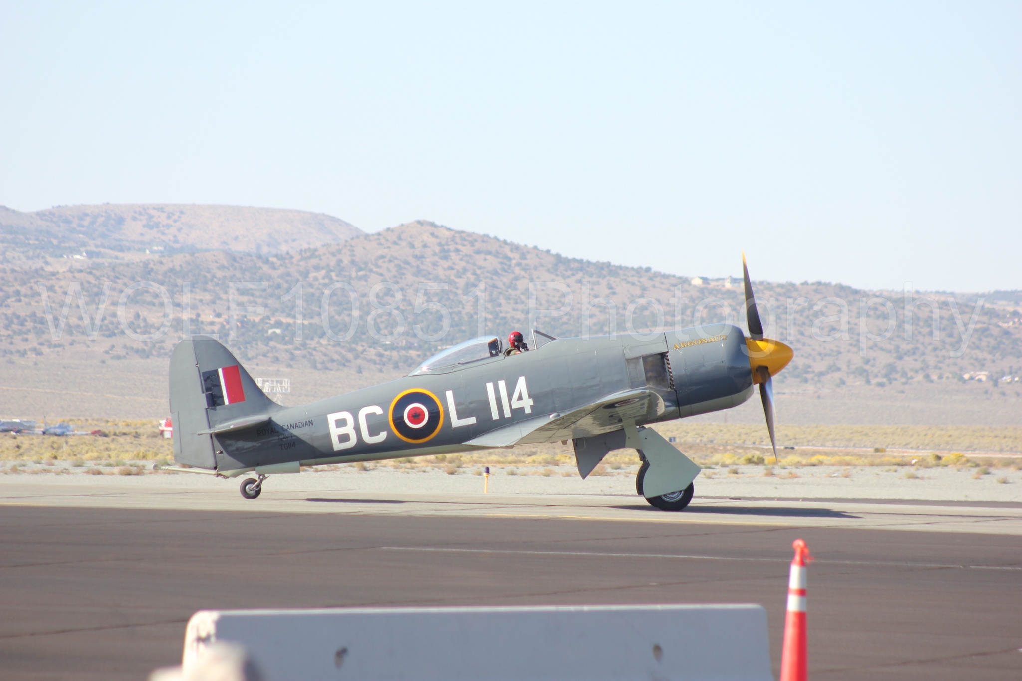 Aviation photography by WOLF10851 featuring Hawker Sea Fury FB-11, Reno Air Races 2013, Argonaut.
