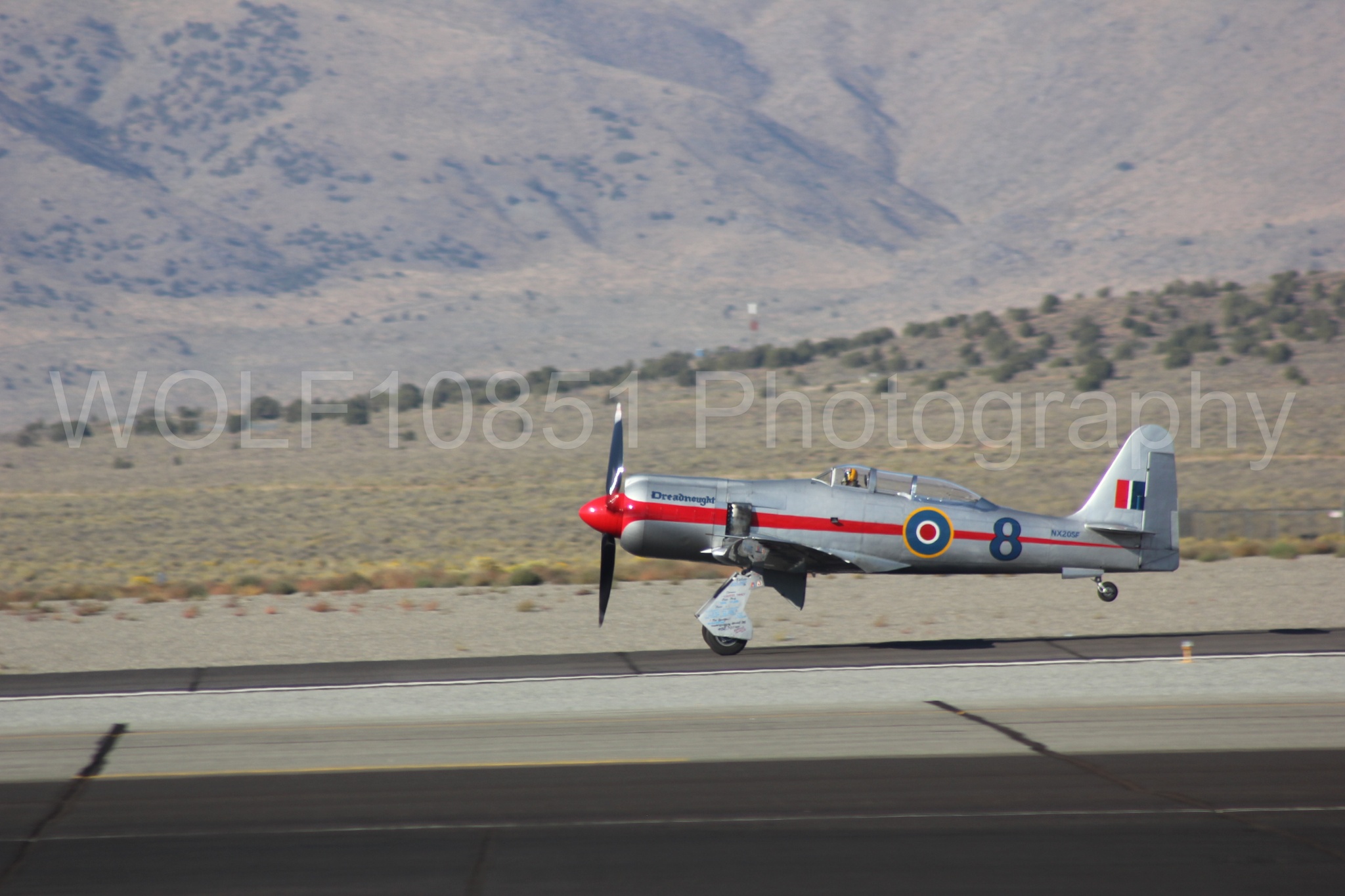 Aviation photography by WOLF10851 featuring Reno Air Races 2013, Hawker Sea Fury T. Mk. 20, Dreadnought.