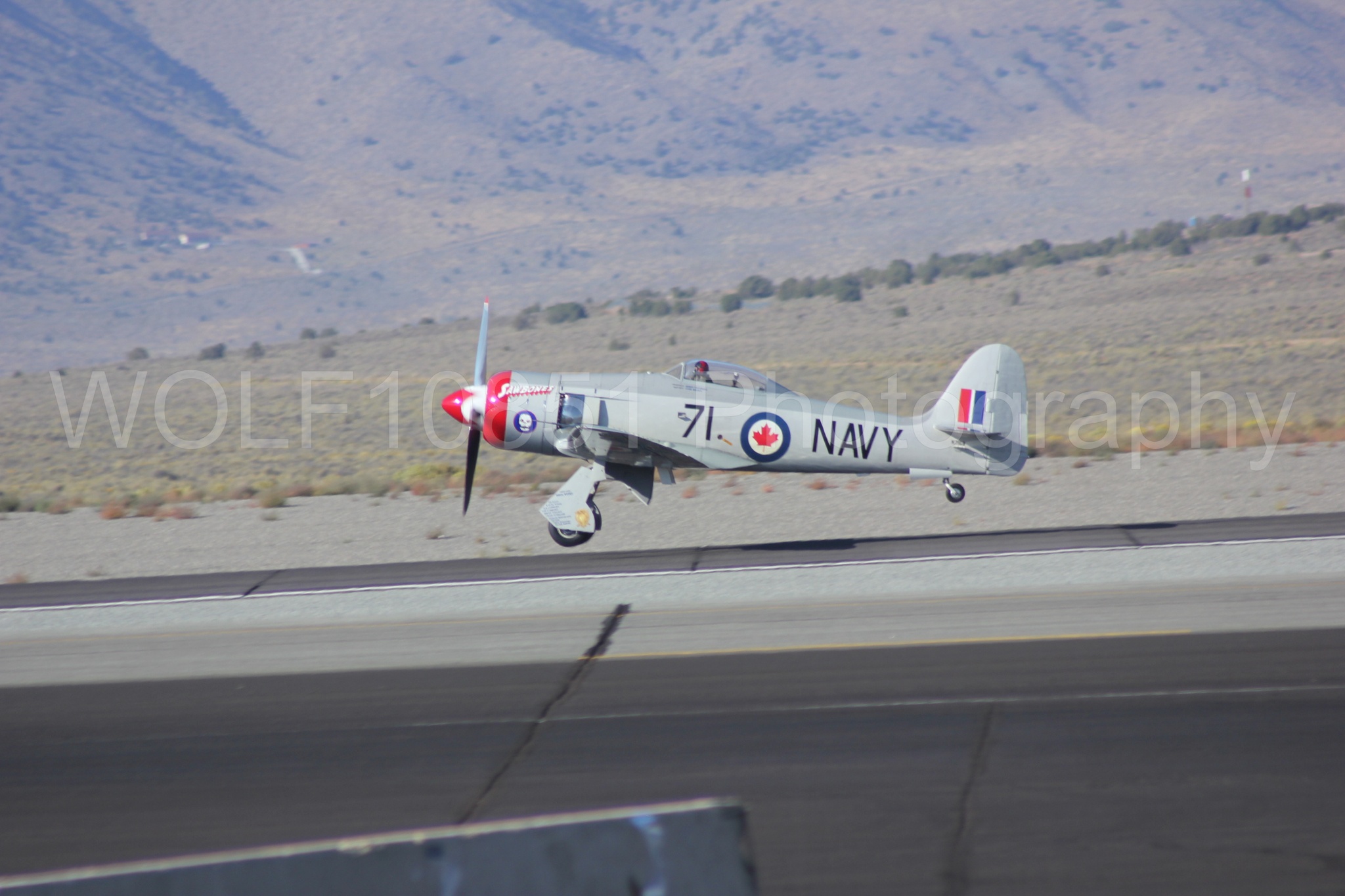 Aviation photography by WOLF10851 featuring Hawker Sea Fury FB-11, Reno Air Races 2013, Sawbones.