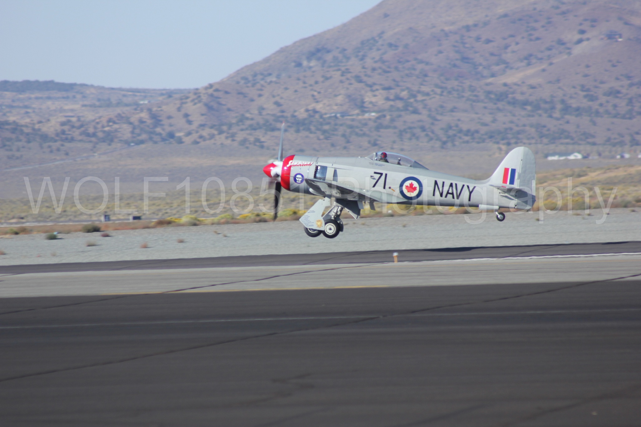 Aviation photography by WOLF10851 featuring Hawker Sea Fury FB-11, Reno Air Races 2013, Sawbones.