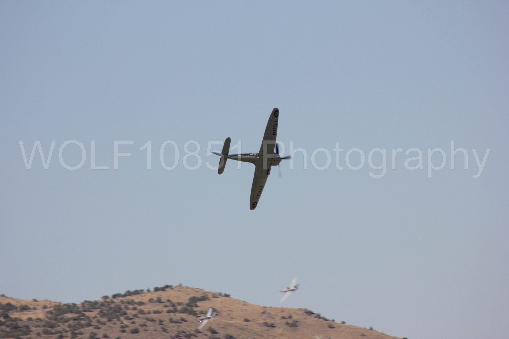 Aviation photography by WOLF10851 featuring Hawker Sea Fury FB-11, Reno Air Races 2013, Argonaut.