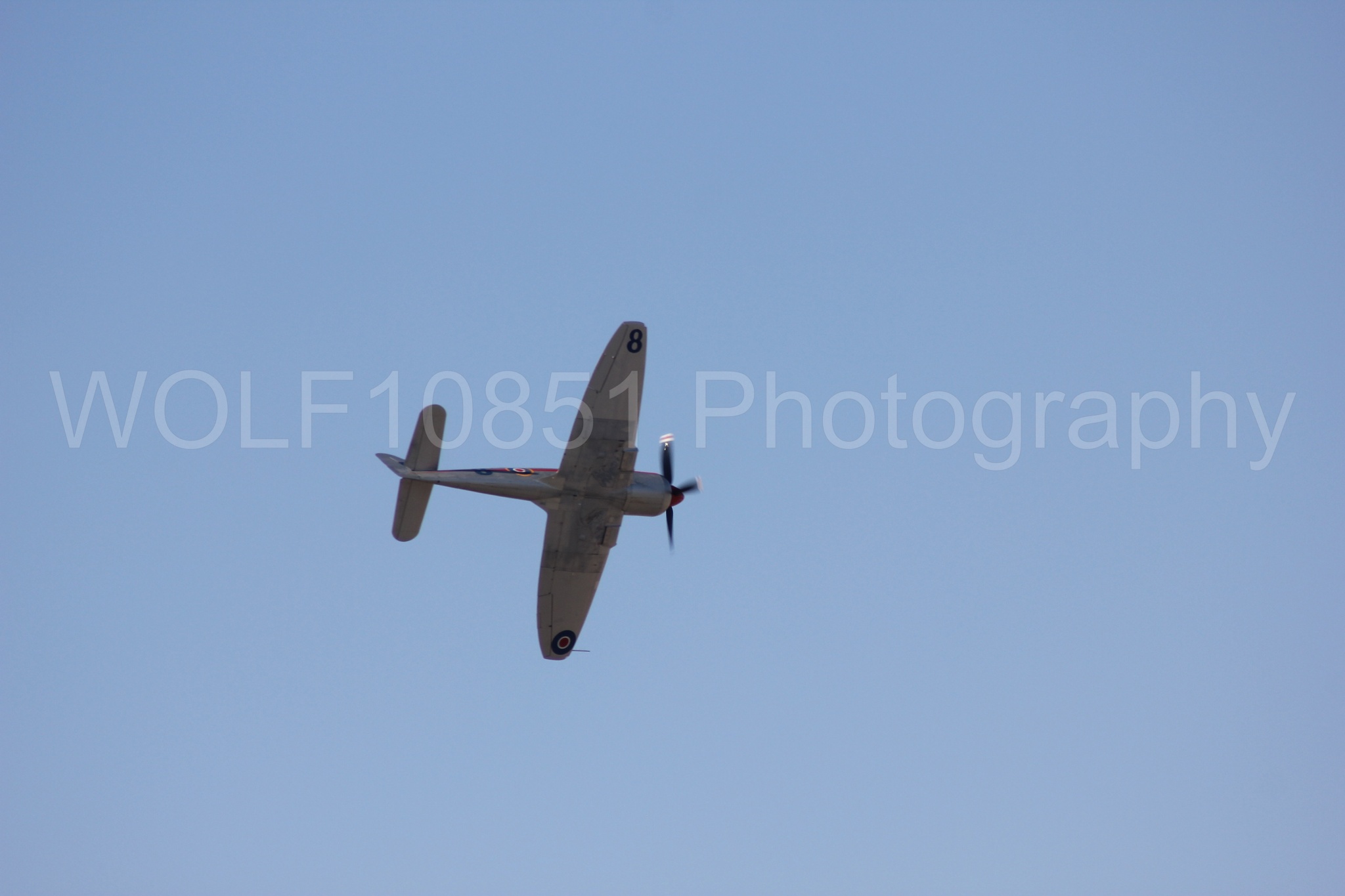 Aviation photography by WOLF10851 featuring Reno Air Races 2013, Hawker Sea Fury T. Mk. 20, Dreadnought.