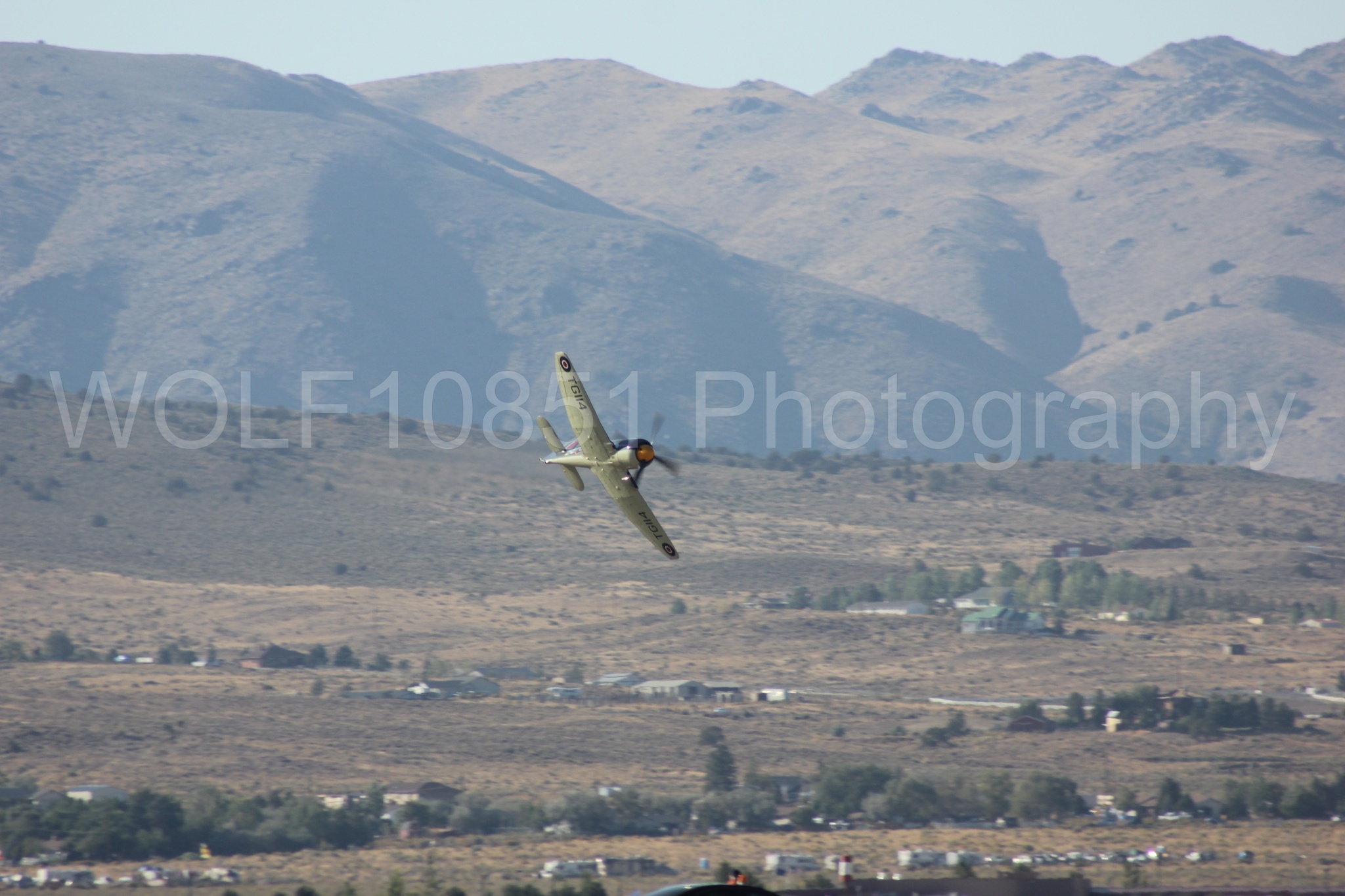Aviation photography by WOLF10851 featuring Hawker Sea Fury FB-11, Reno Air Races 2013, Argonaut.