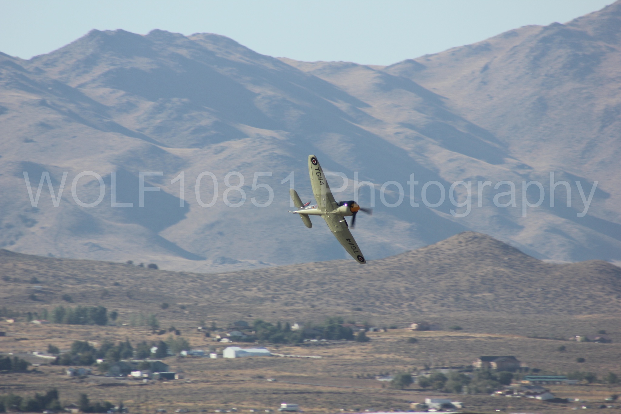 Aviation photography by WOLF10851 featuring Hawker Sea Fury FB-11, Reno Air Races 2013, Argonaut.