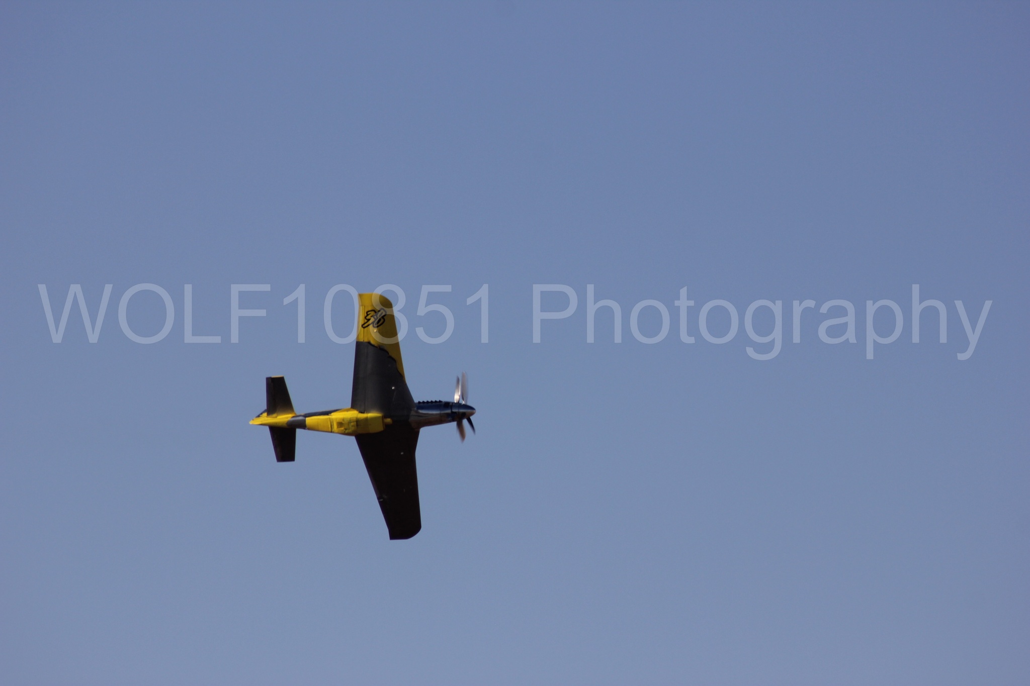 Aviation photography by WOLF10851 featuring P-51 Mustang, Reno Air Races 2013, Precious Metal.