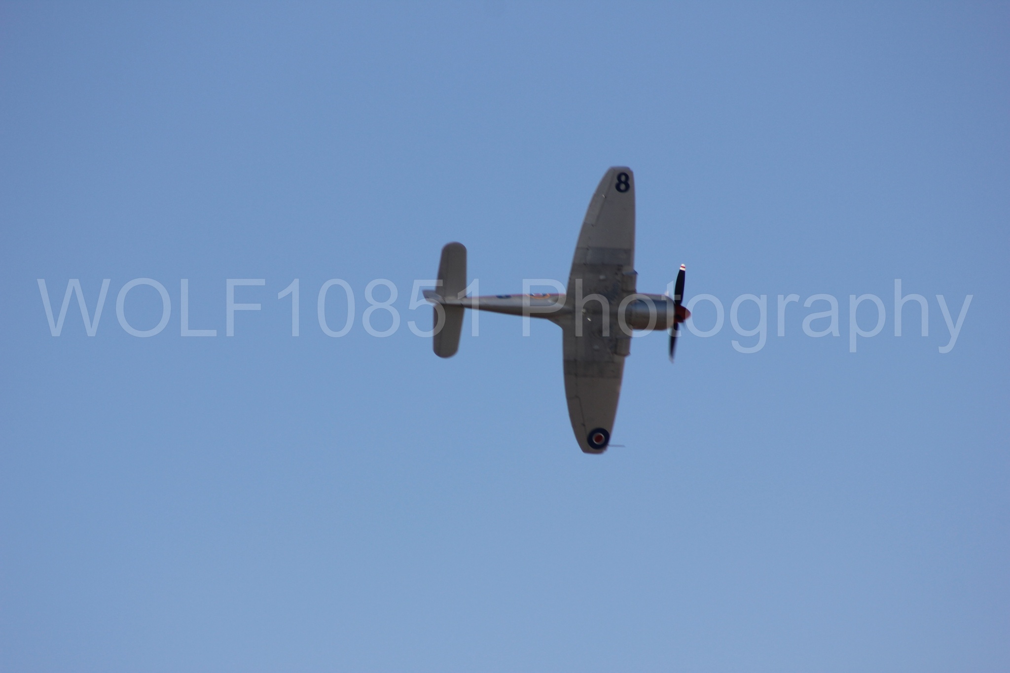 Aviation photography by WOLF10851 featuring Reno Air Races 2013, Hawker Sea Fury T. Mk. 20, Dreadnought.