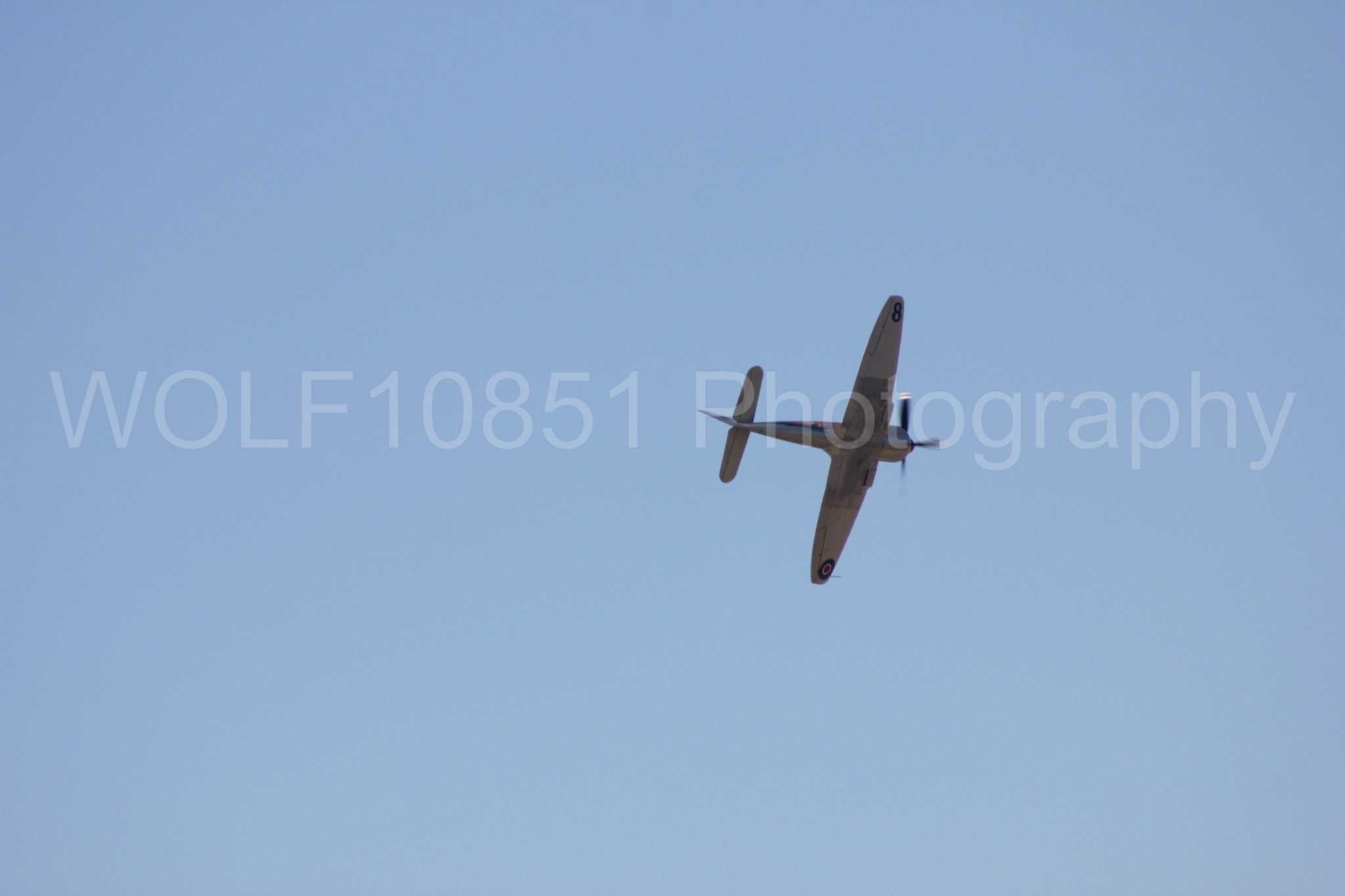 Aviation photography by WOLF10851 featuring Hawker Sea Fury T. Mk. 20, Dreadnought.