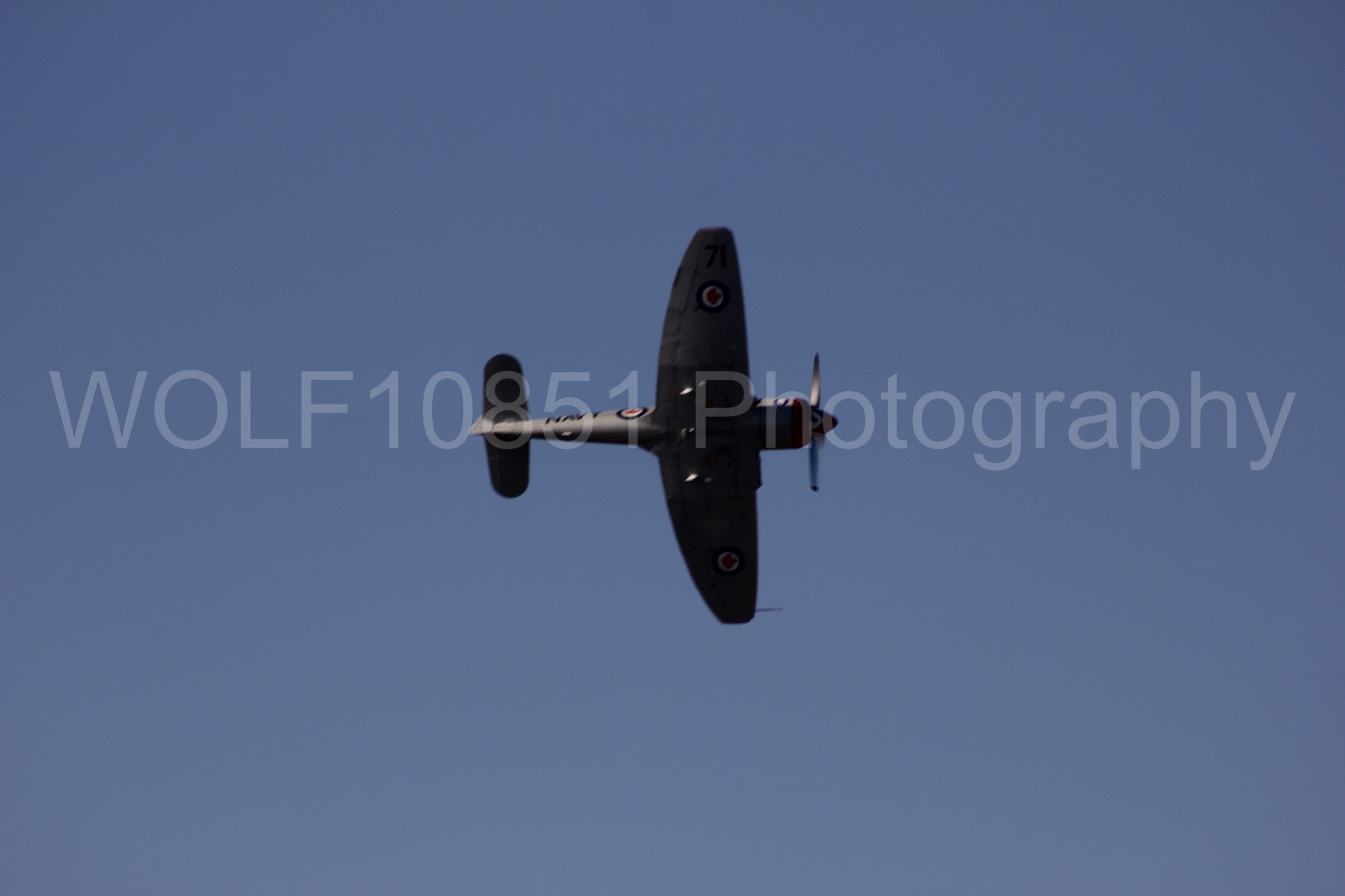 Aviation photography by WOLF10851 featuring Hawker Sea Fury FB-11, Reno Air Races 2013, Sawbones.