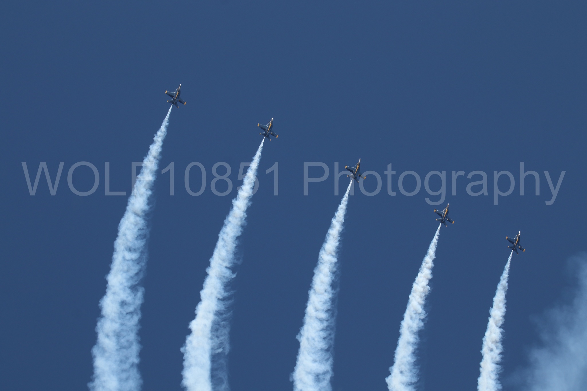 Aviation photography by WOLF10851 featuring FA-18 Super Hornet, Blue Angels, Blue and Gold, Wings Over Solano 2024.