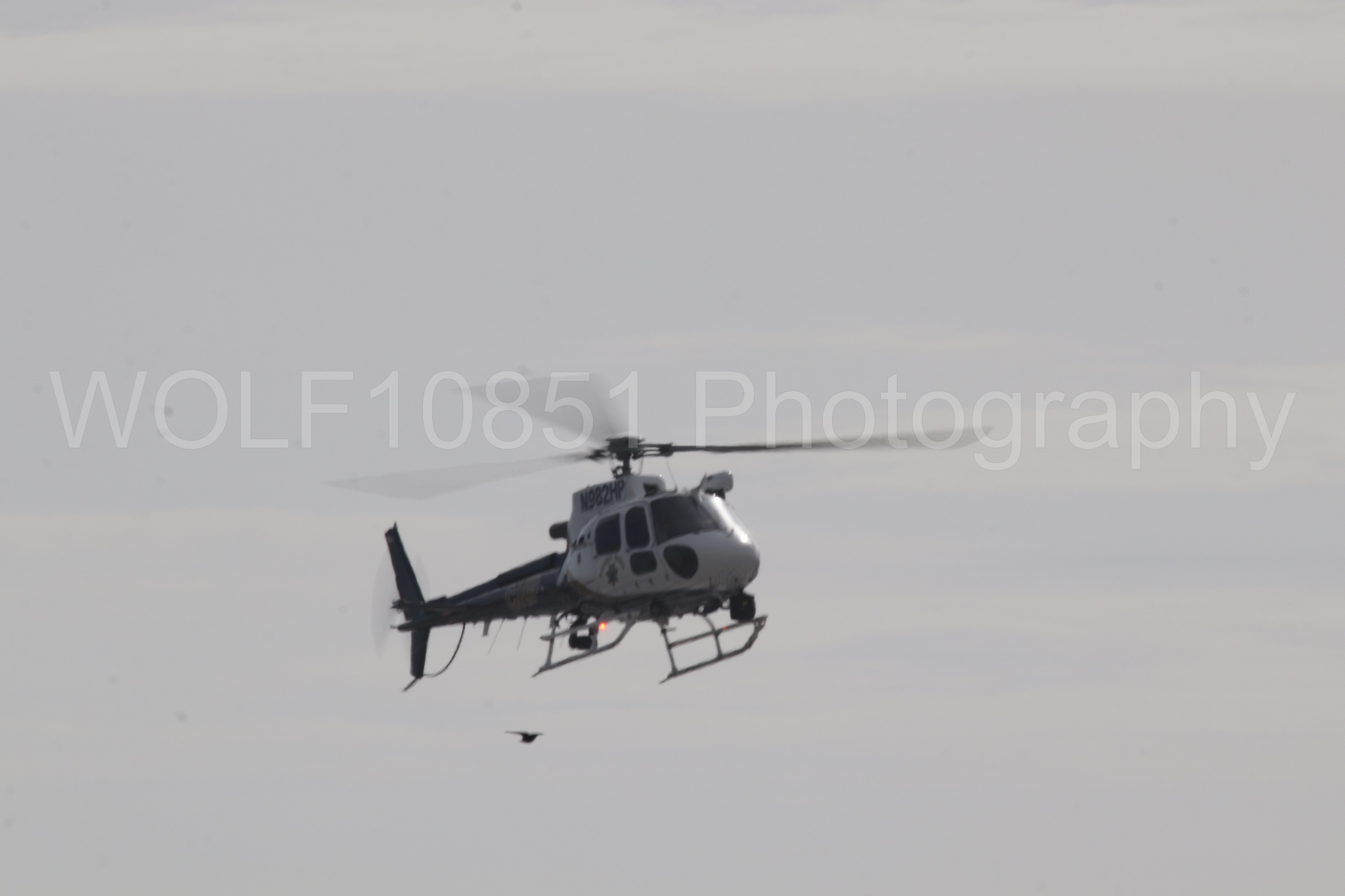 Airbus H125 | WOLF10851 Photography