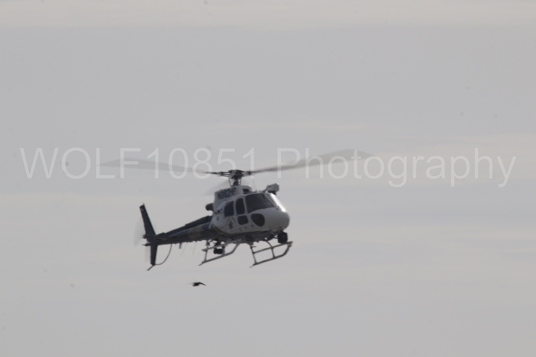 Airbus H125 | WOLF10851 Photography
