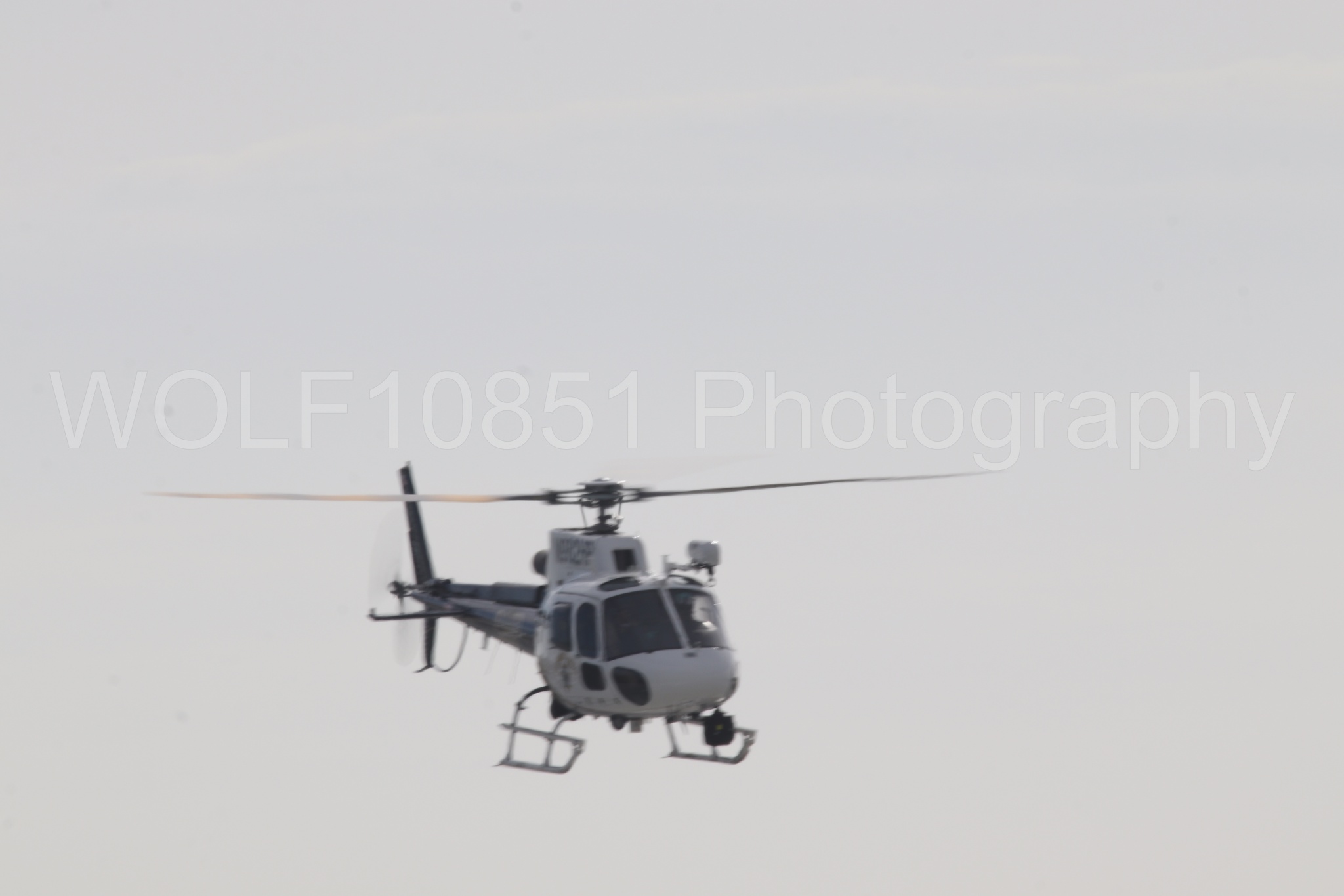 Airbus H125 | WOLF10851 Photography