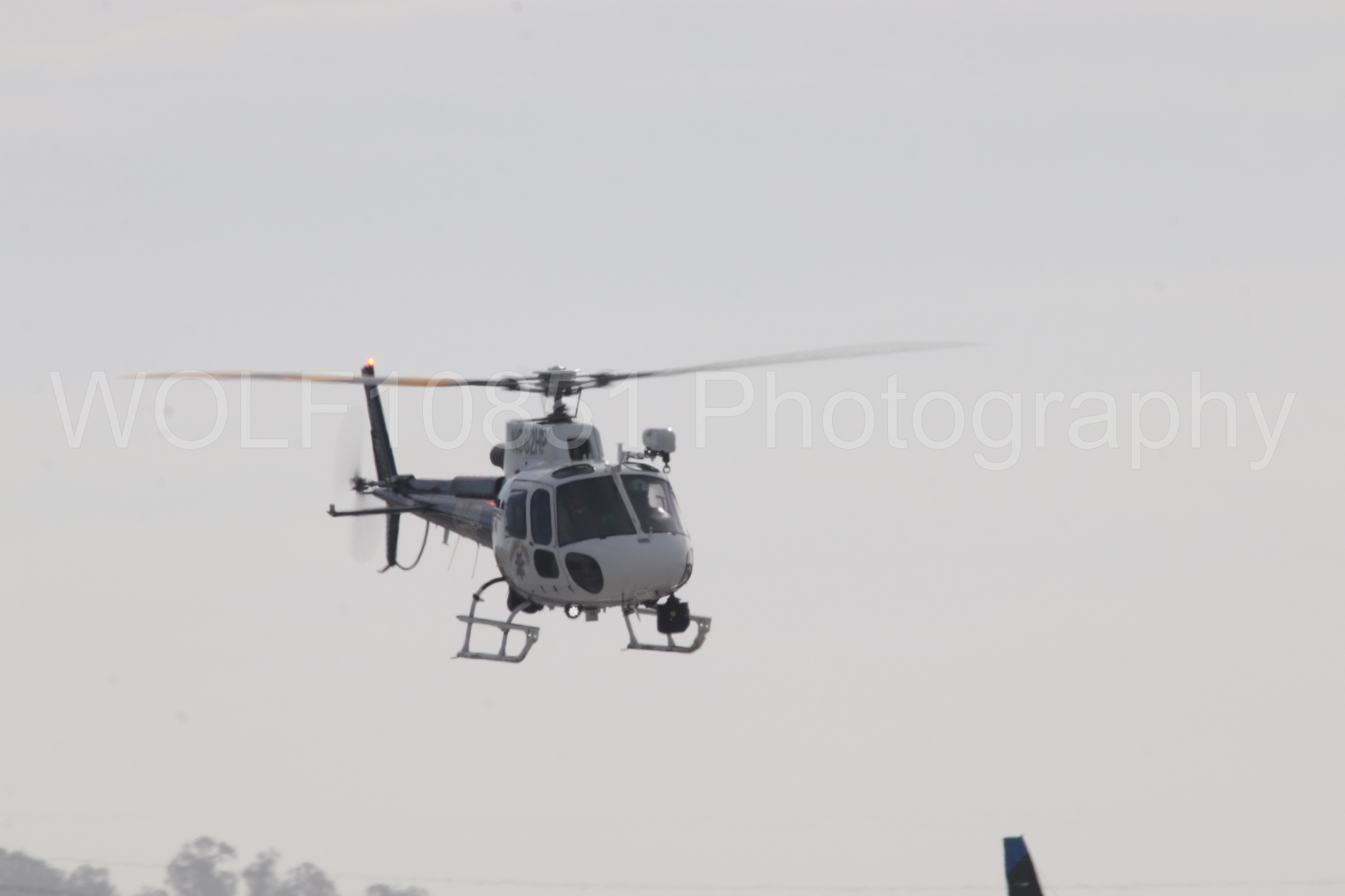 Airbus H125 | WOLF10851 Photography