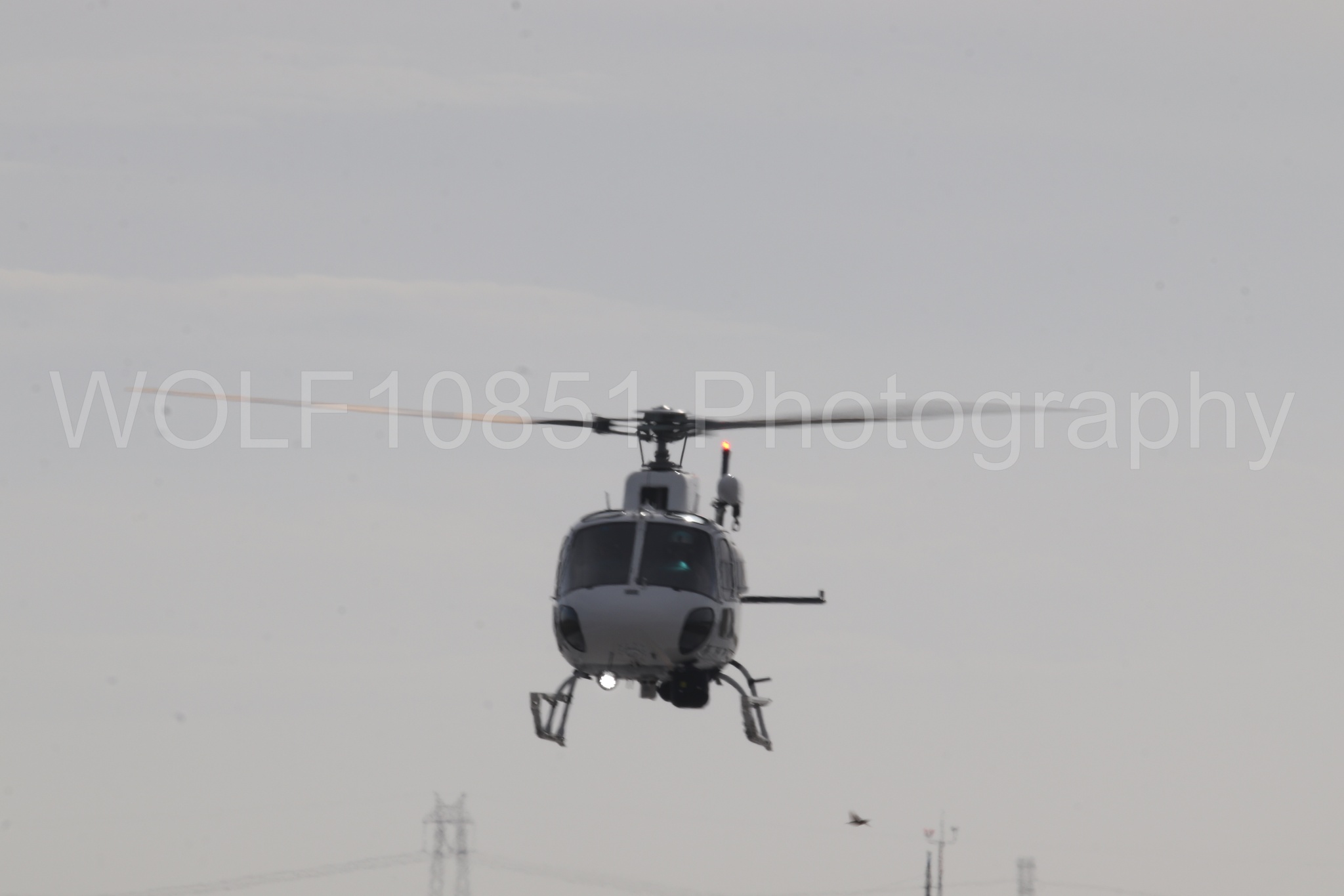 Airbus H125 | WOLF10851 Photography