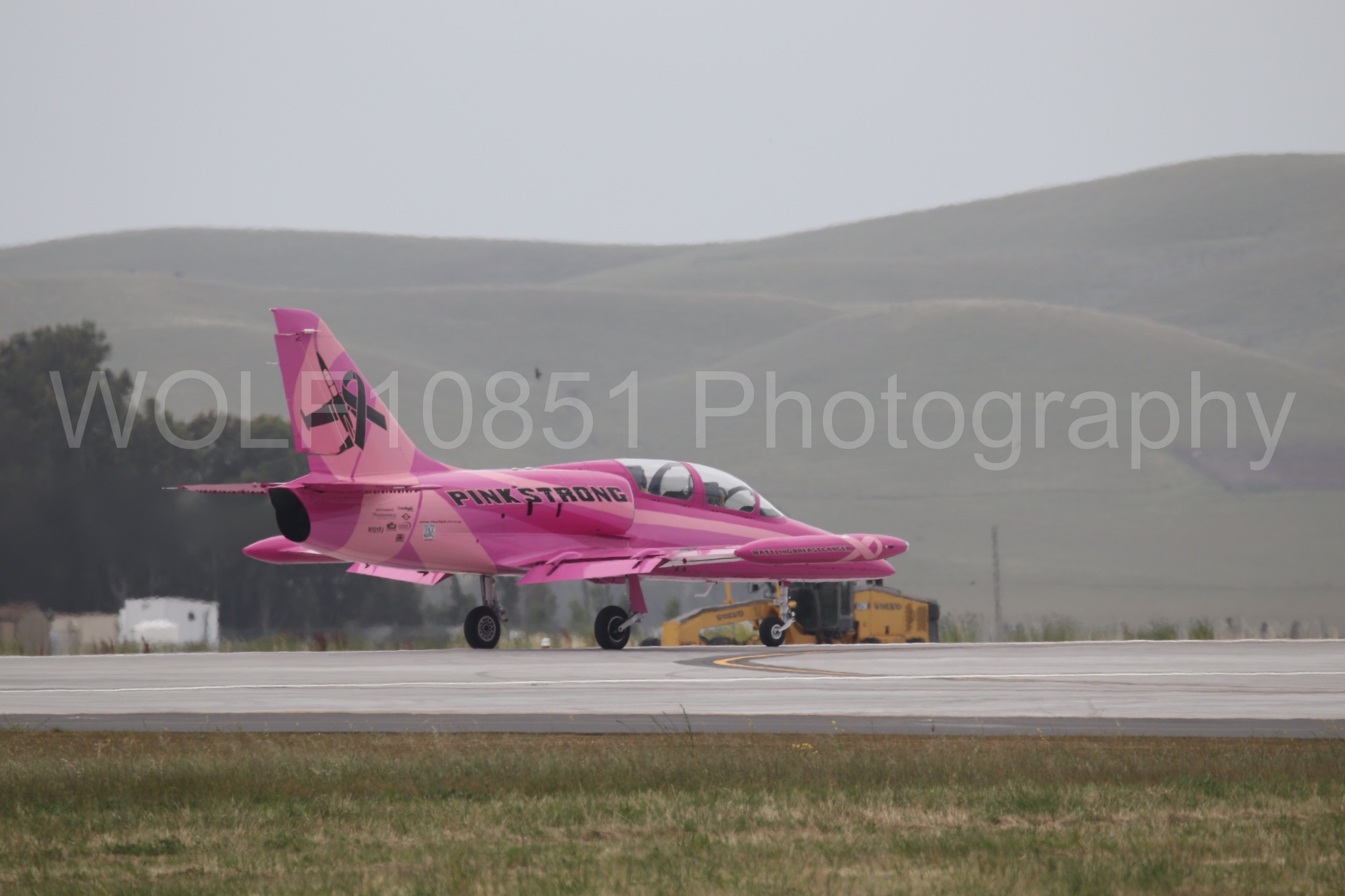 L-39 Albatros | WOLF10851 Photography