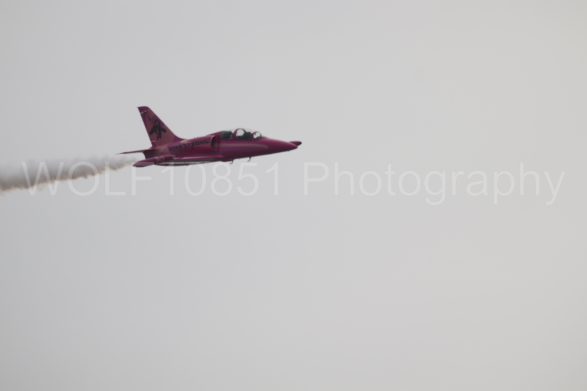 L-39 Albatros | WOLF10851 Photography
