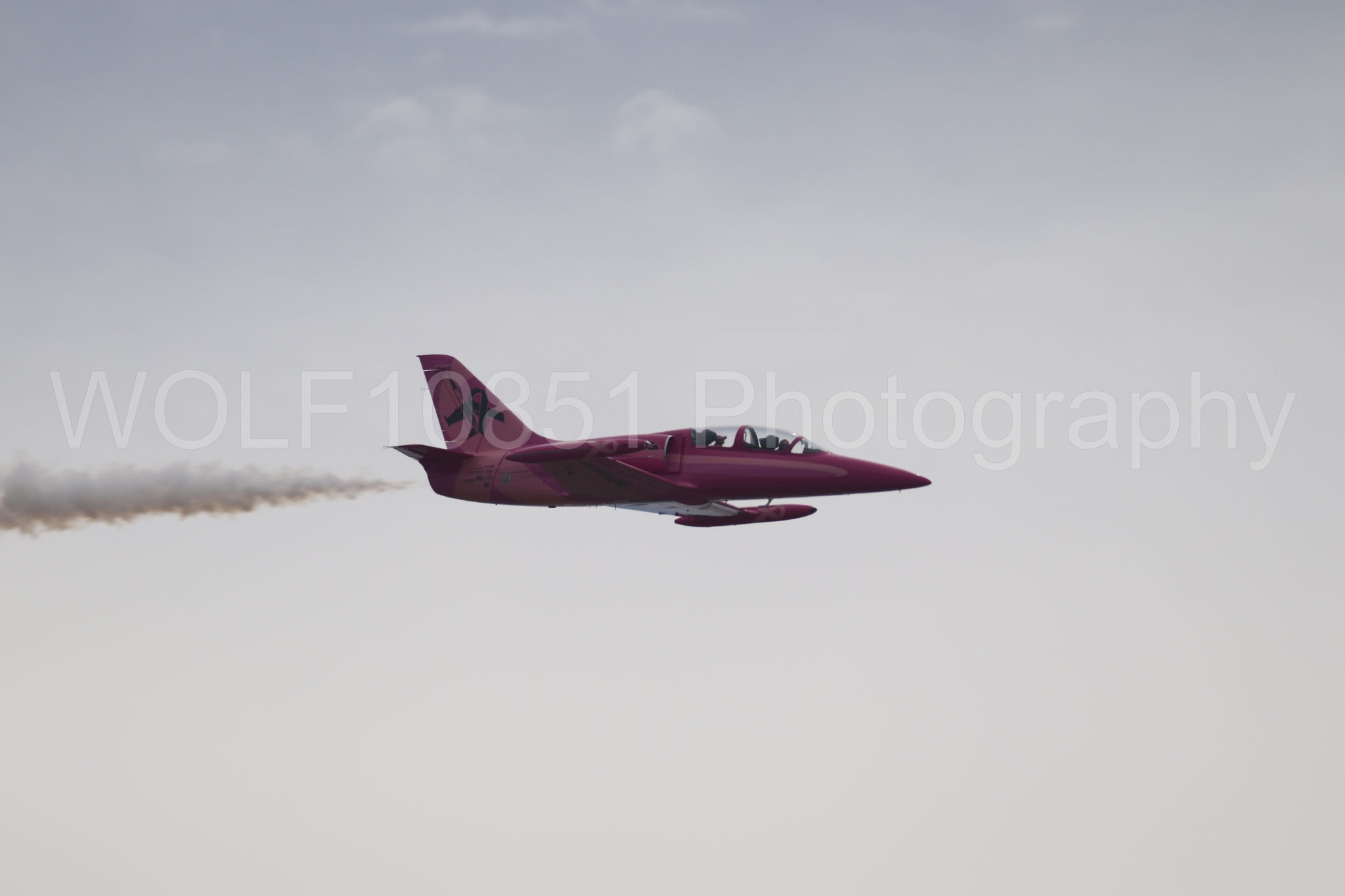 L-39 Albatros | WOLF10851 Photography