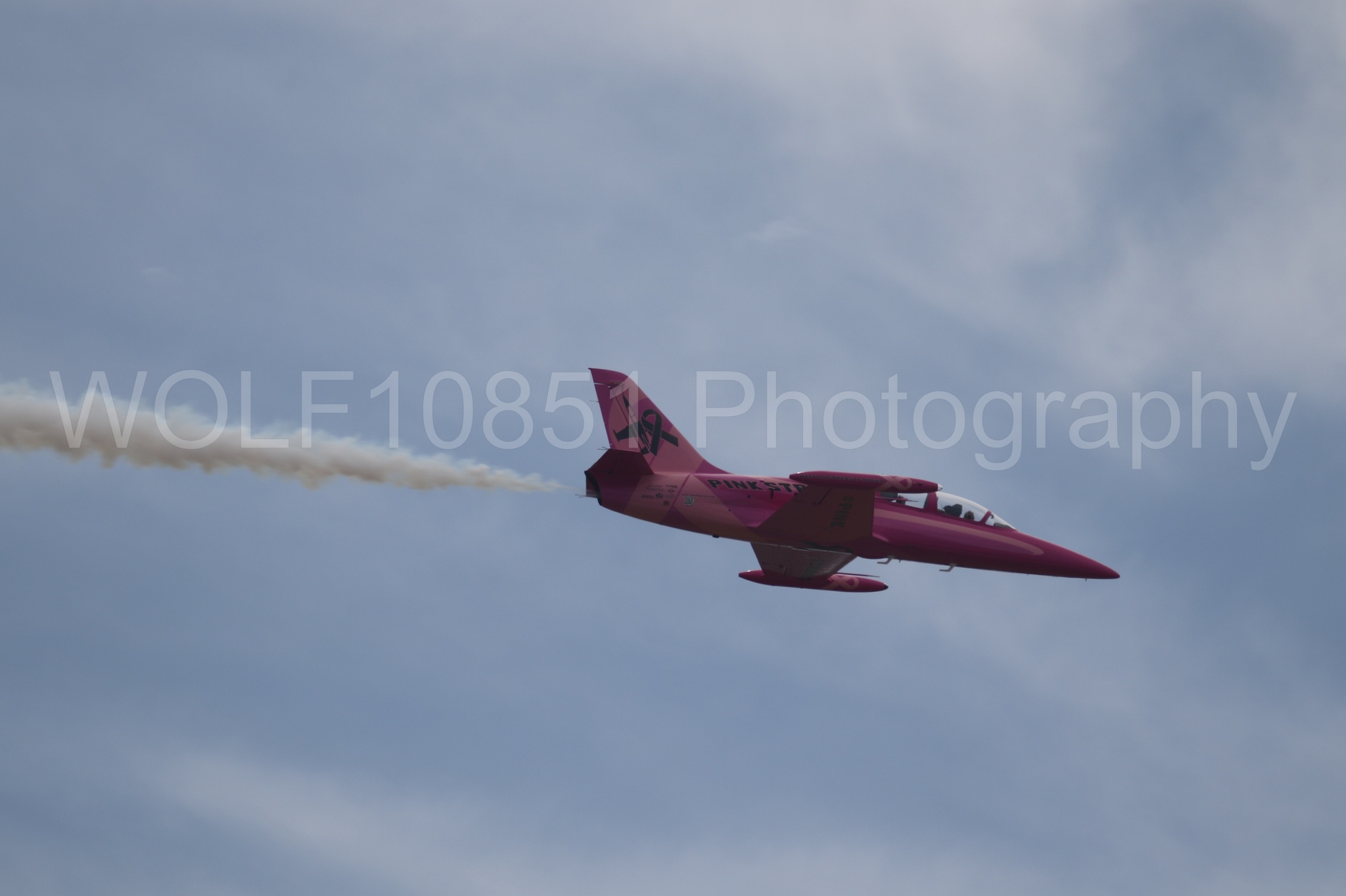 L-39 Albatros | WOLF10851 Photography