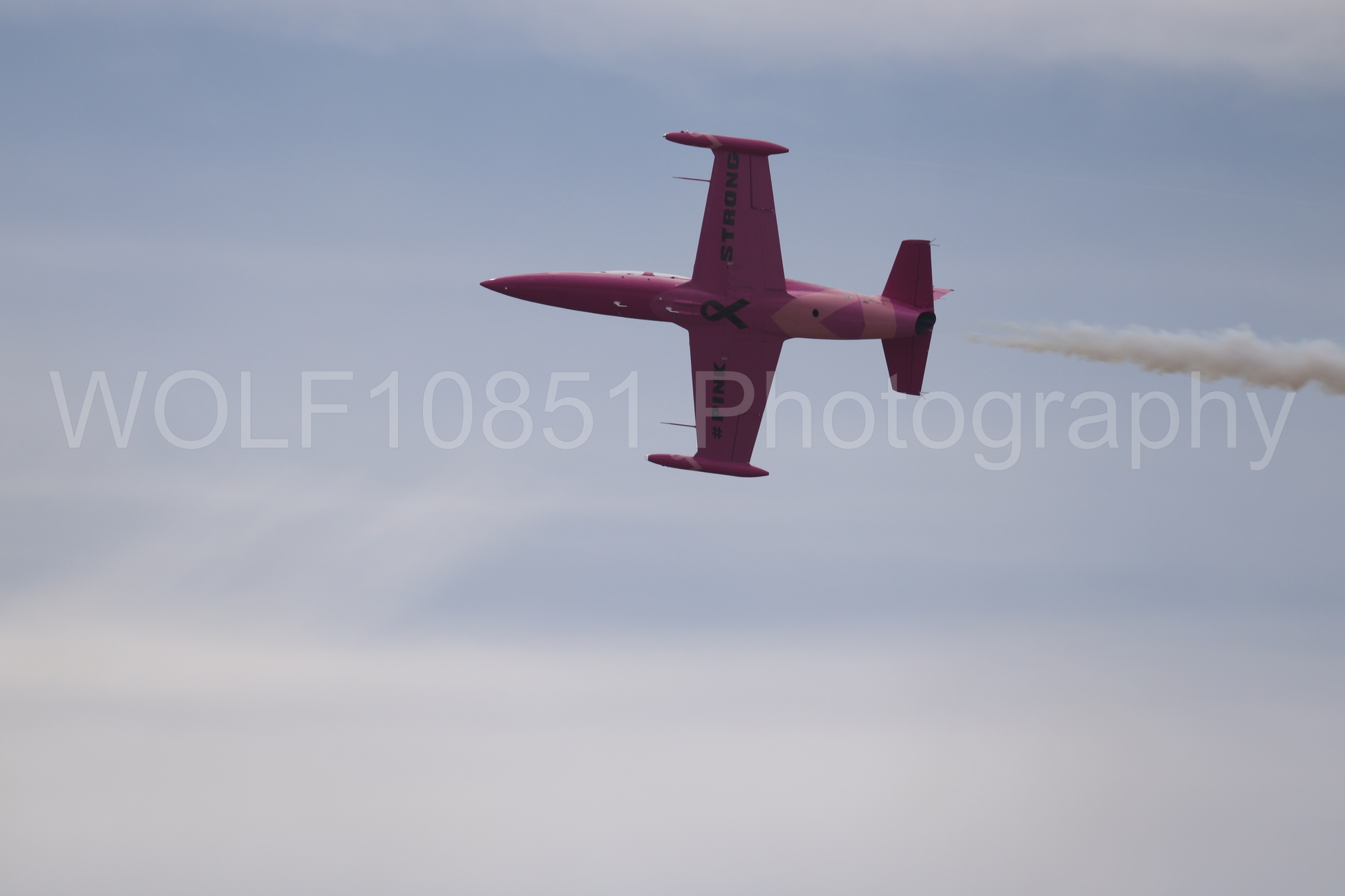 L-39 Albatros | WOLF10851 Photography