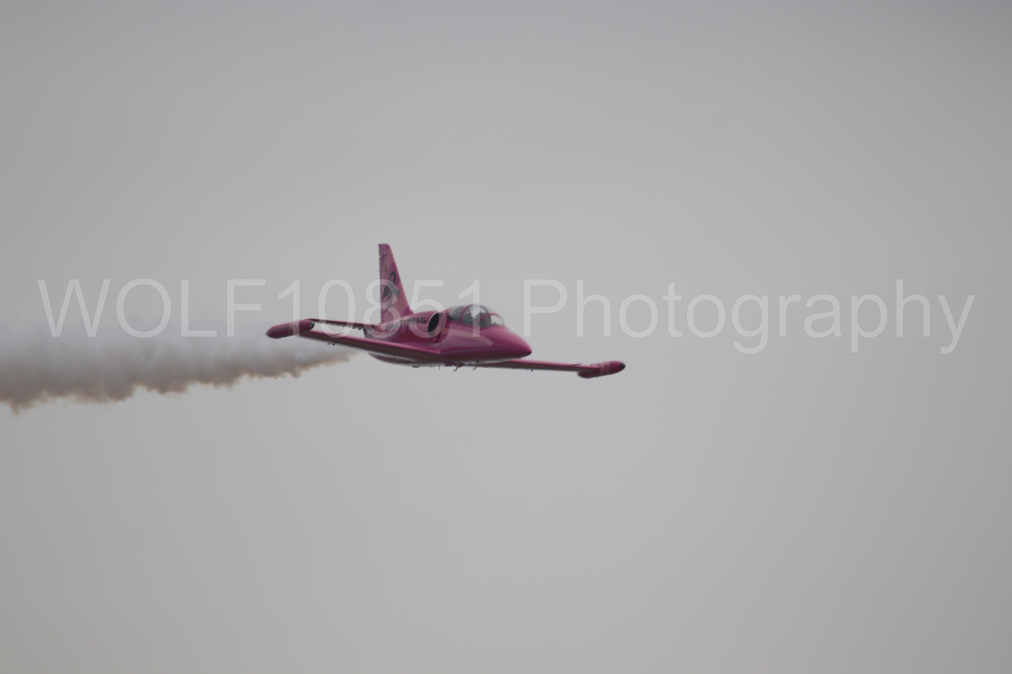 L-39 Albatros | WOLF10851 Photography