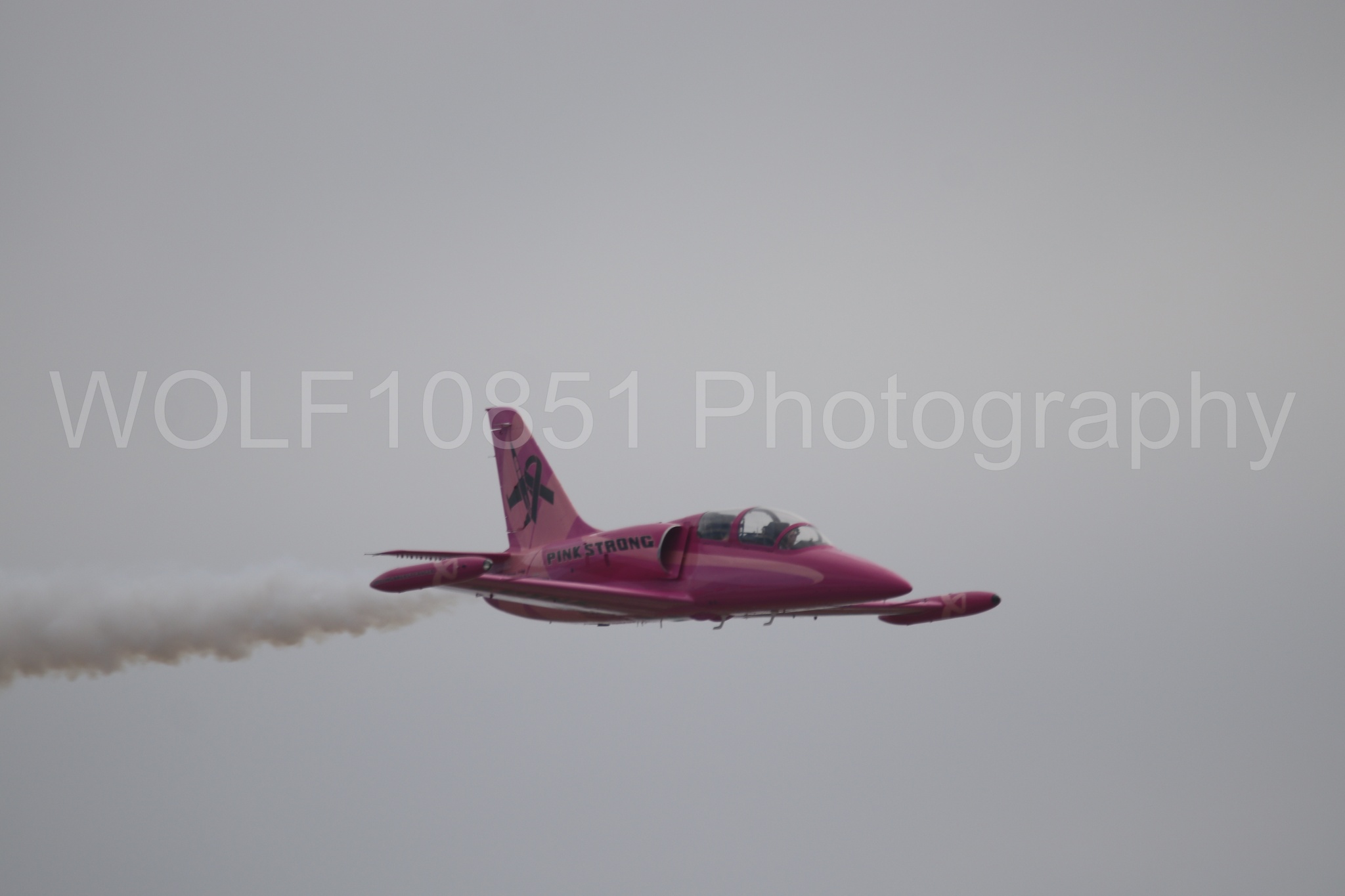 L-39 Albatros | WOLF10851 Photography