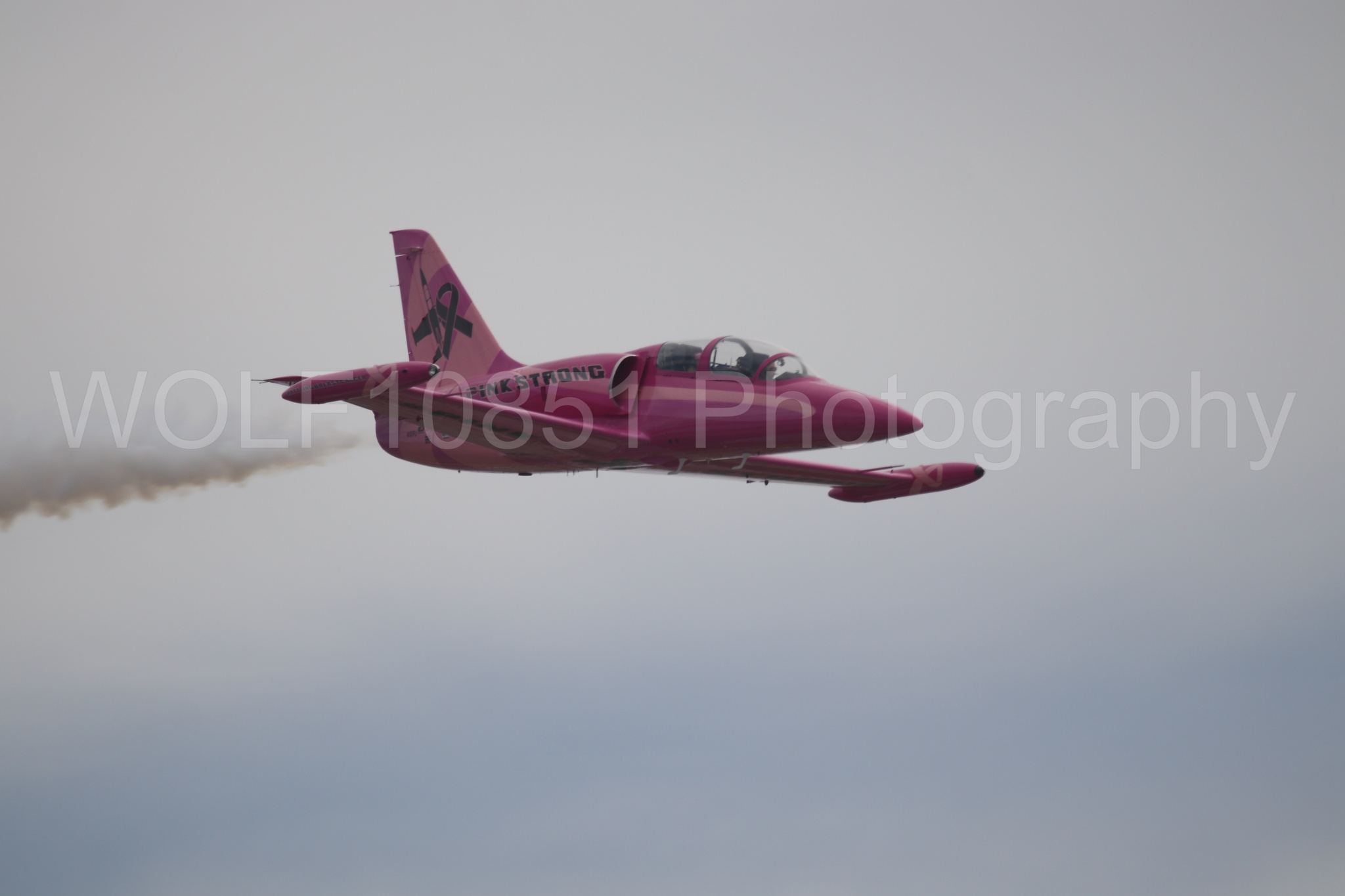 L-39 Albatros | WOLF10851 Photography