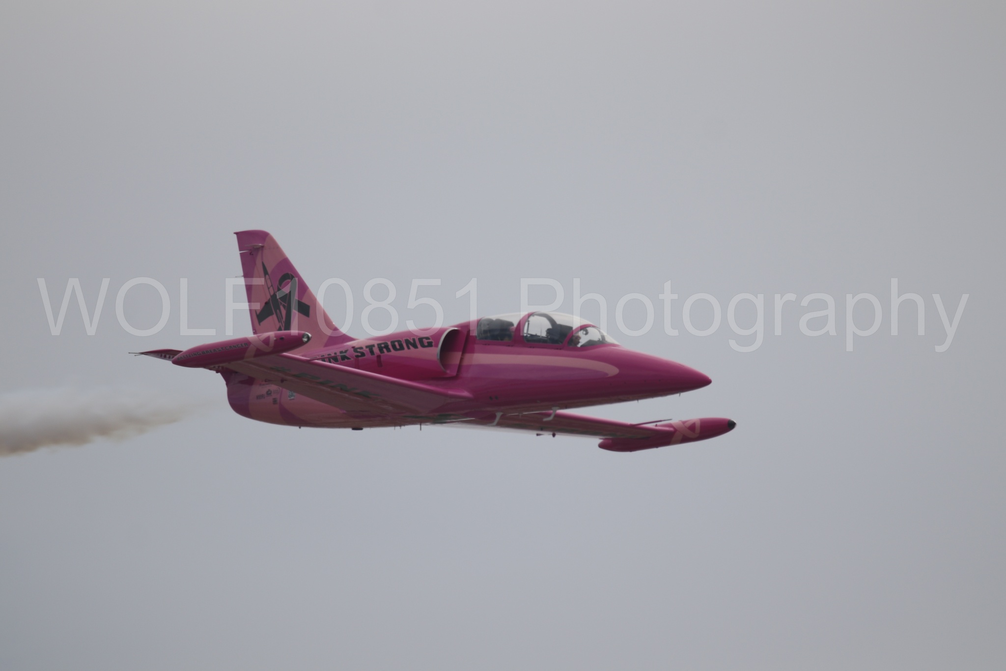 L-39 Albatros | WOLF10851 Photography