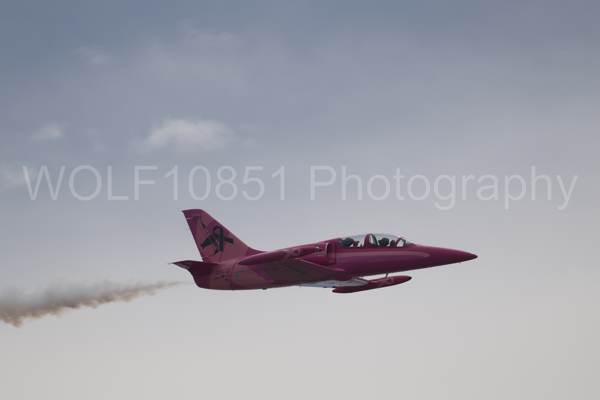 L-39 Albatros | WOLF10851 Photography