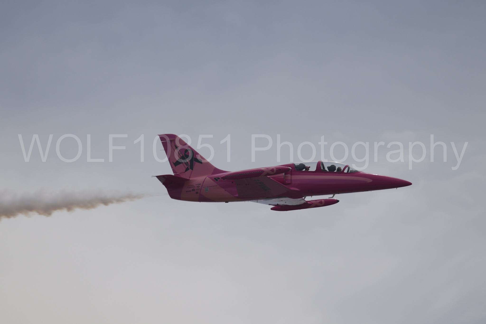 L-39 Albatros | WOLF10851 Photography