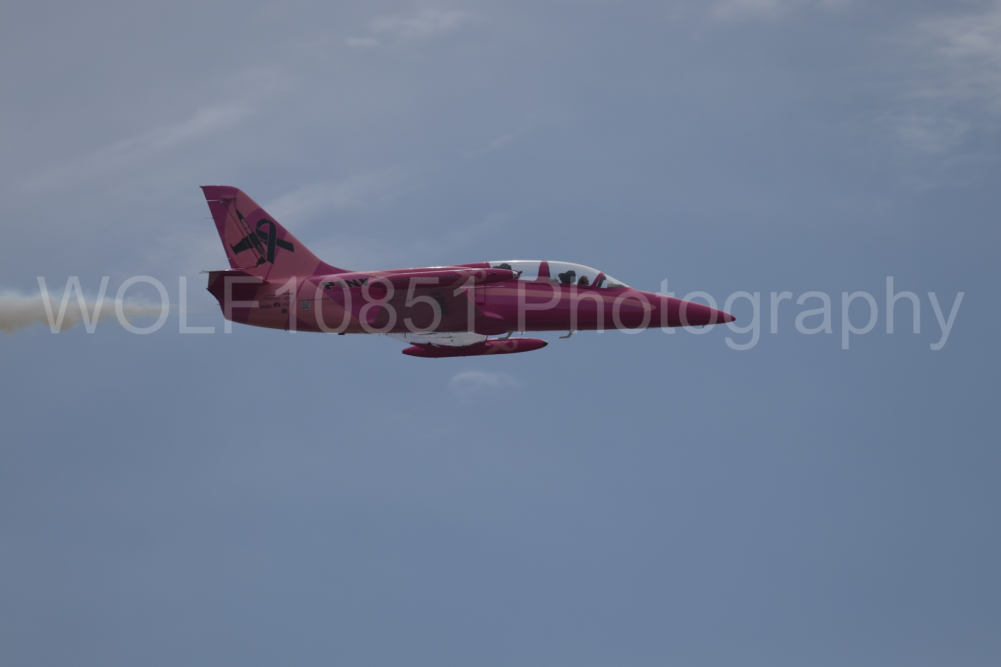 L-39 Albatros | WOLF10851 Photography