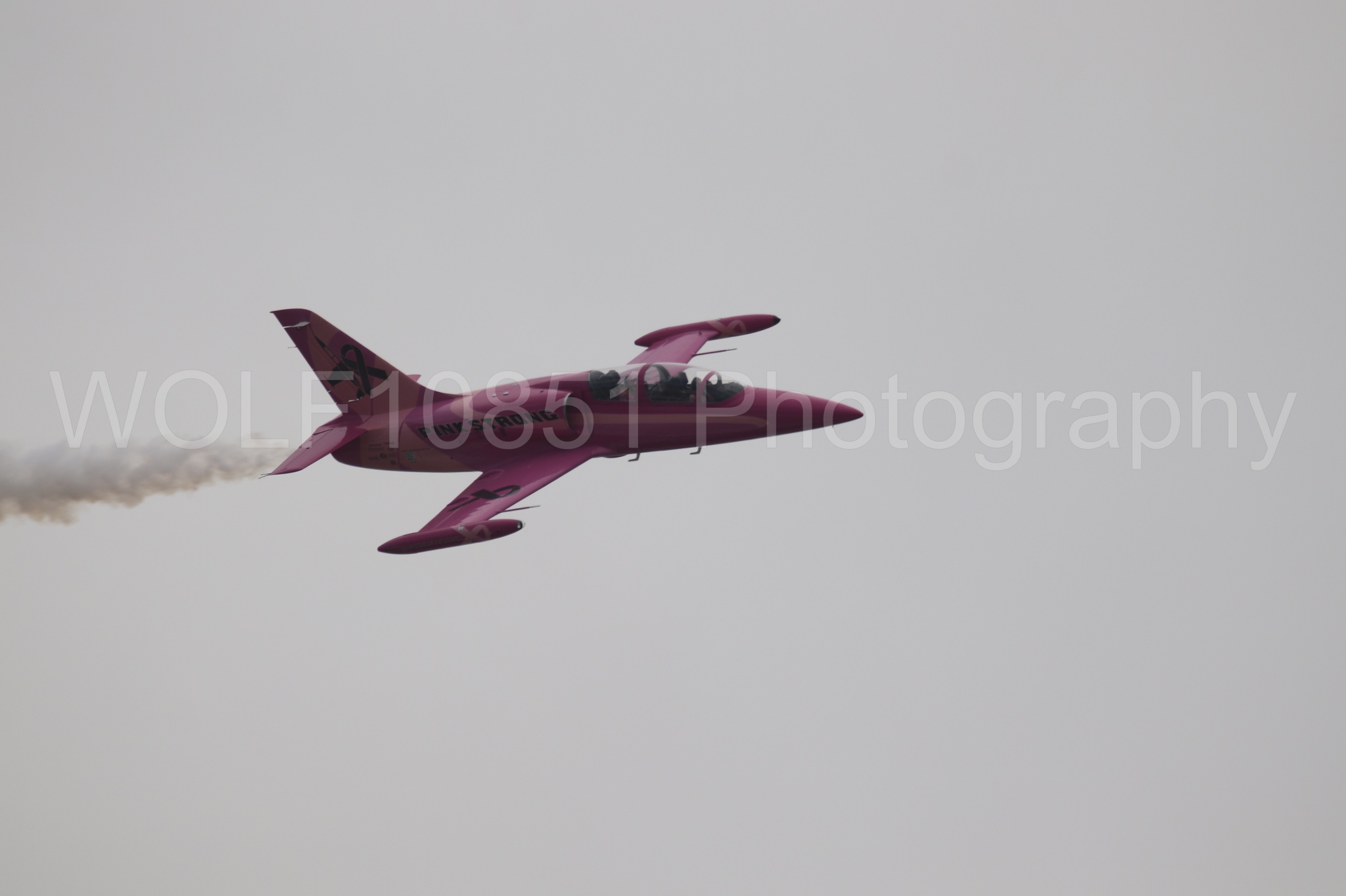 L-39 Albatros | WOLF10851 Photography