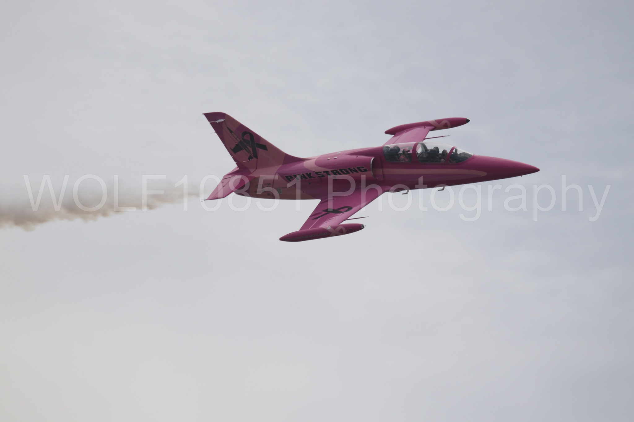 L-39 Albatros | WOLF10851 Photography