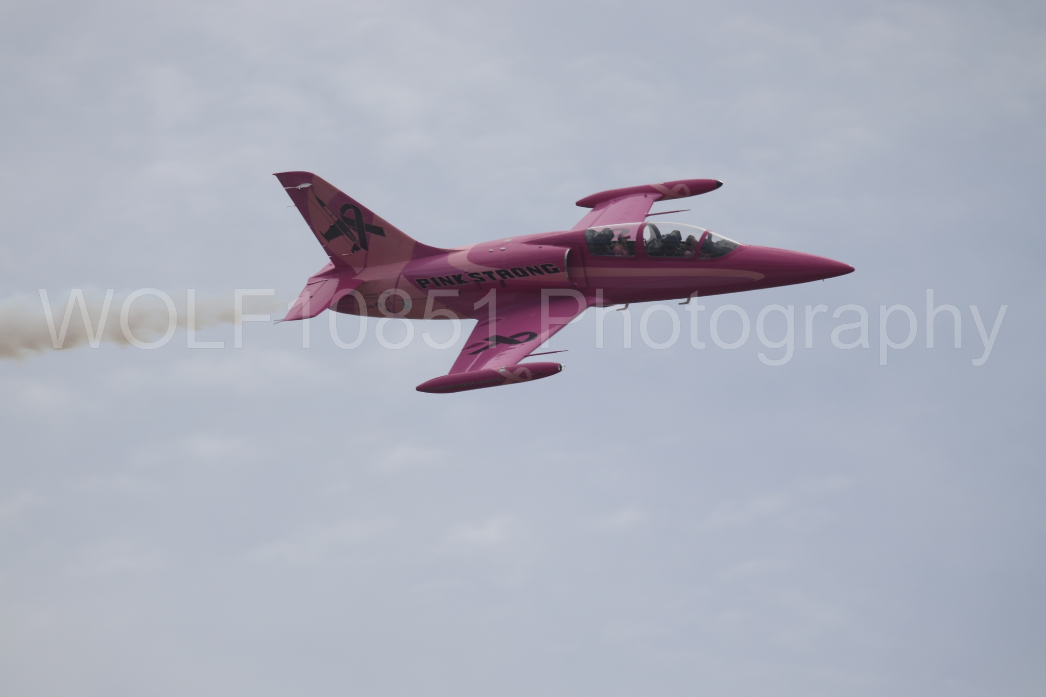 L-39 Albatros | WOLF10851 Photography